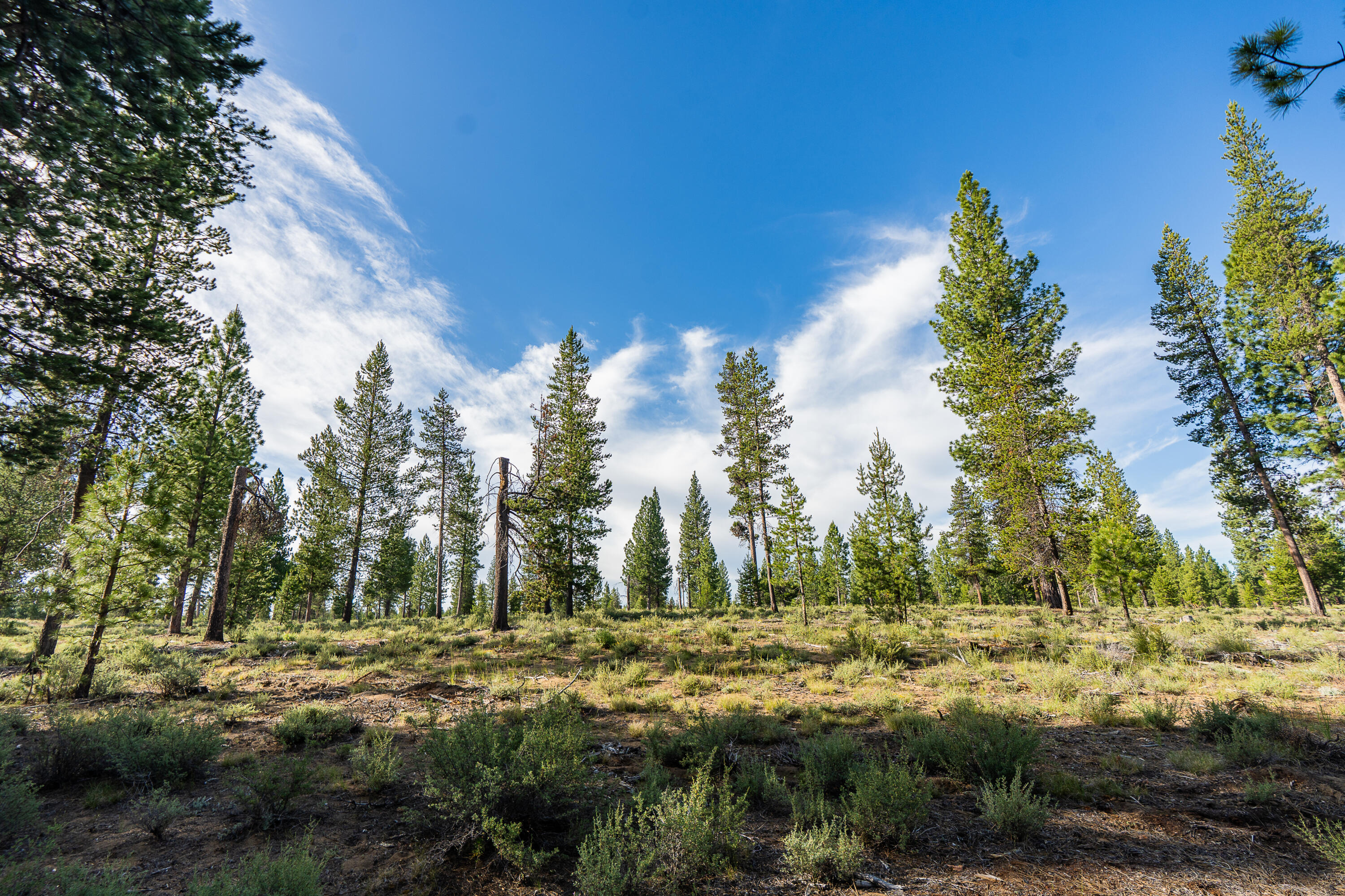 54809 Mountain View Court