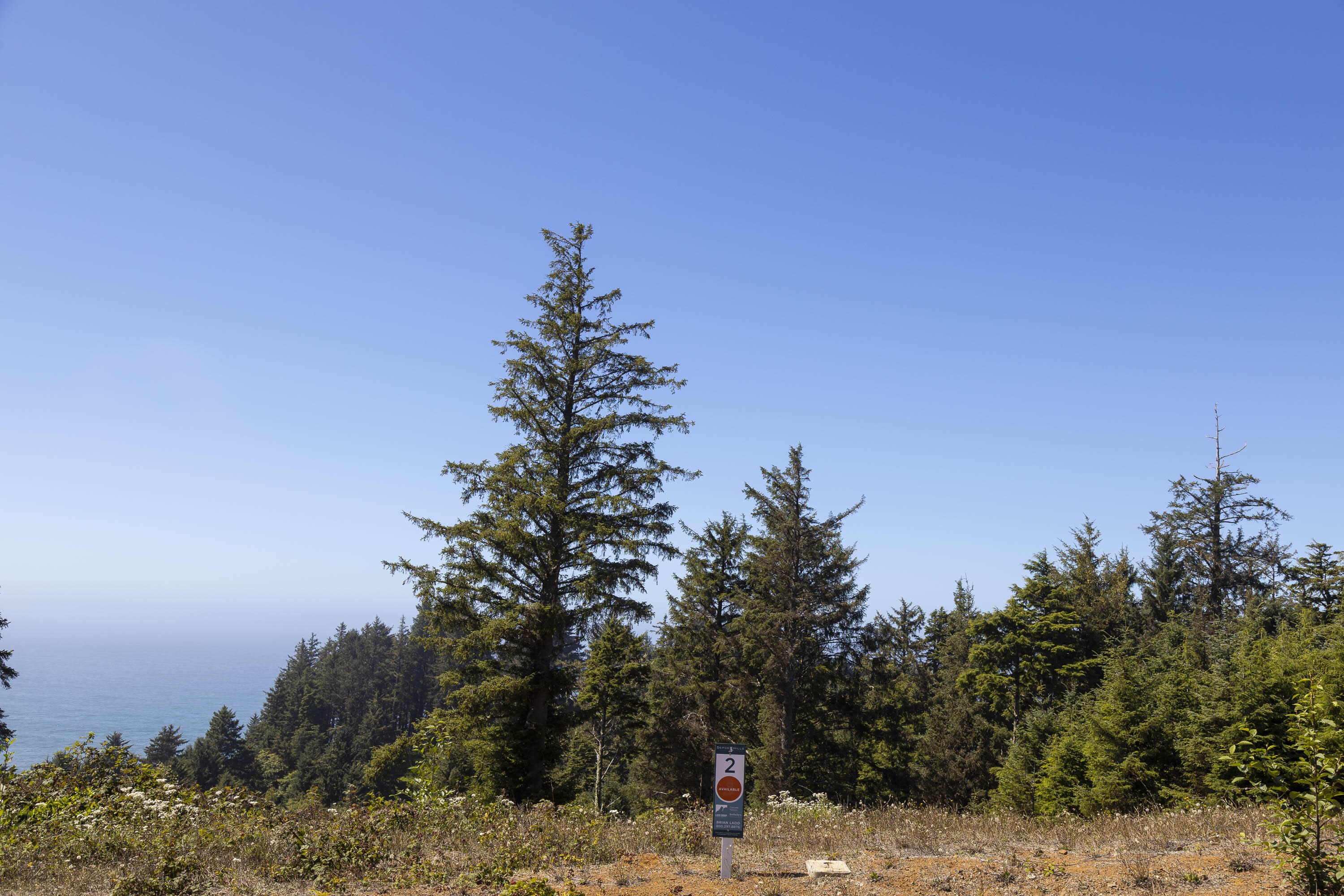 0 NE Lillian Lane, 2