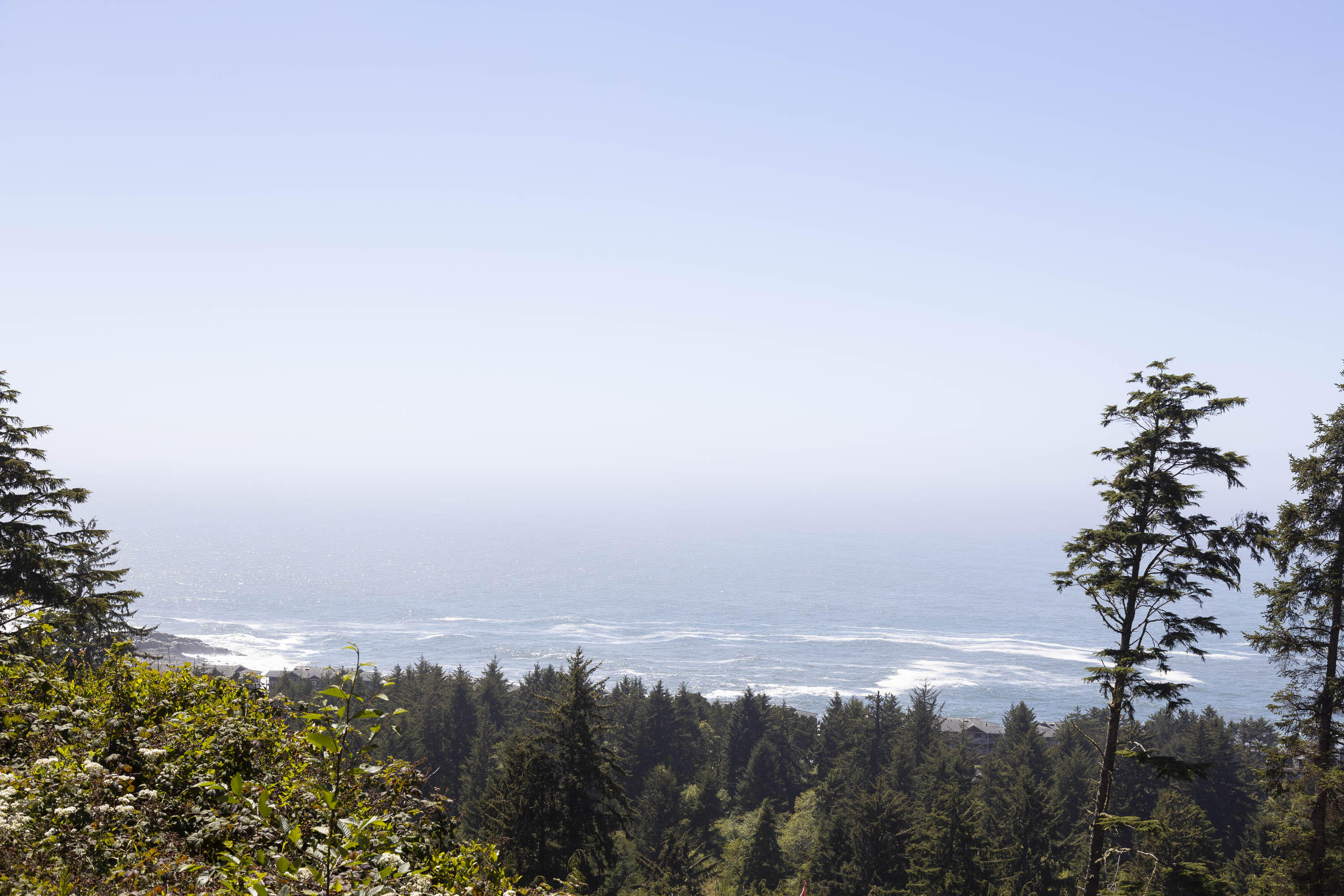 0 NE Lillian Lane, 2