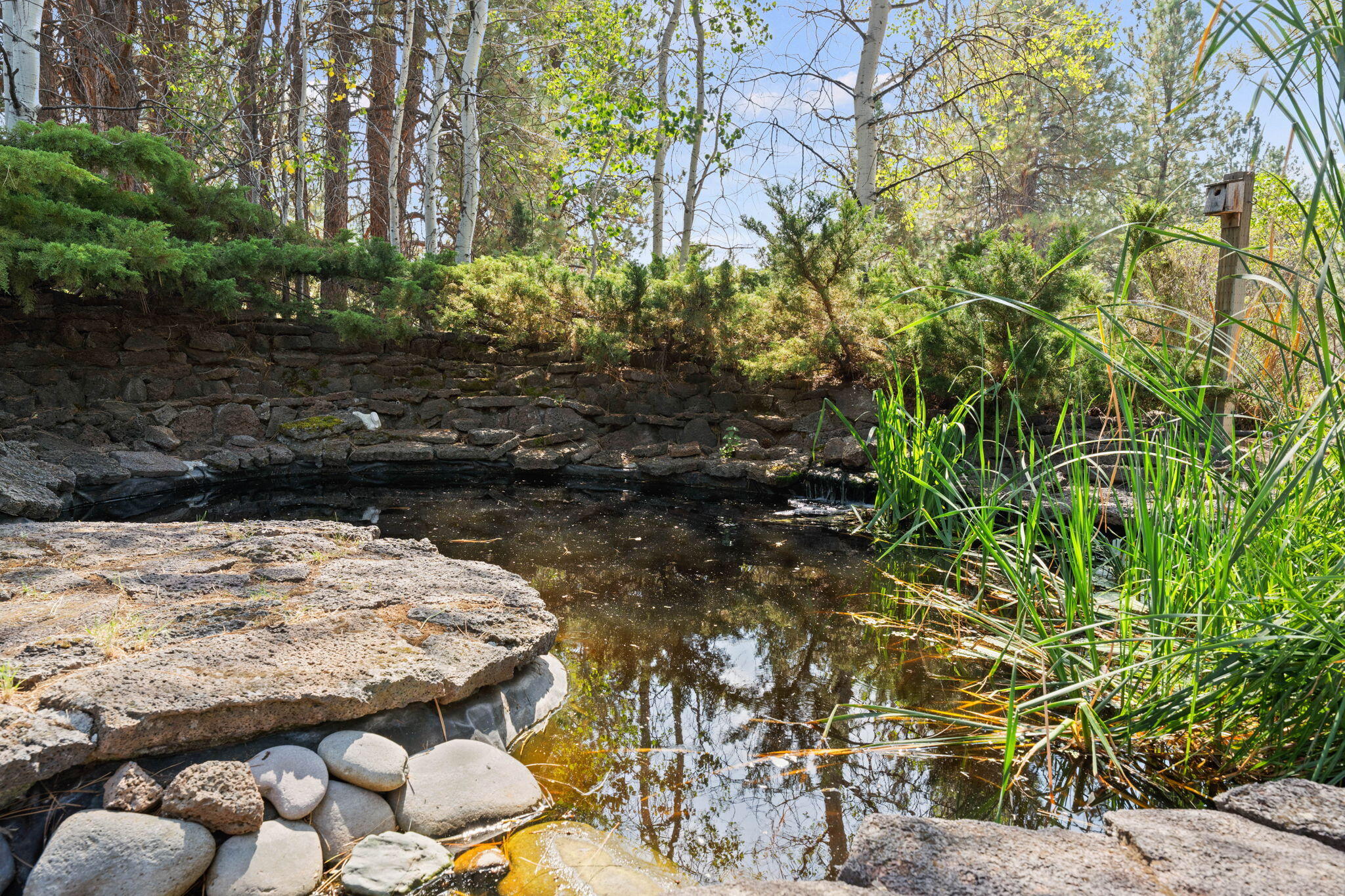 20409 Pine Vista Drive