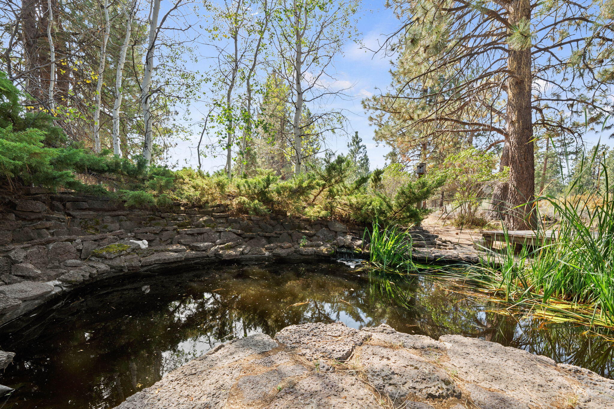 20409 Pine Vista Drive