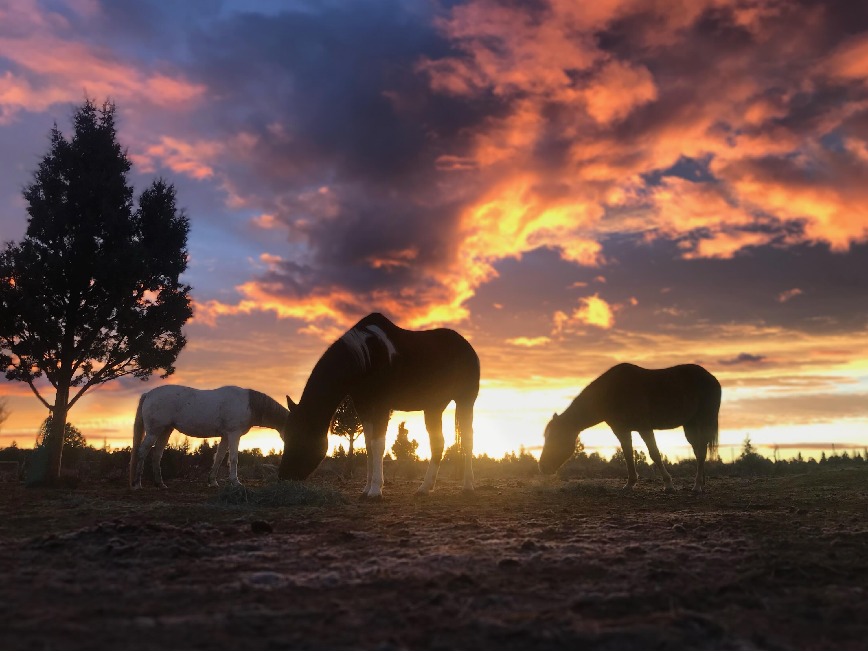 66880 Central Street