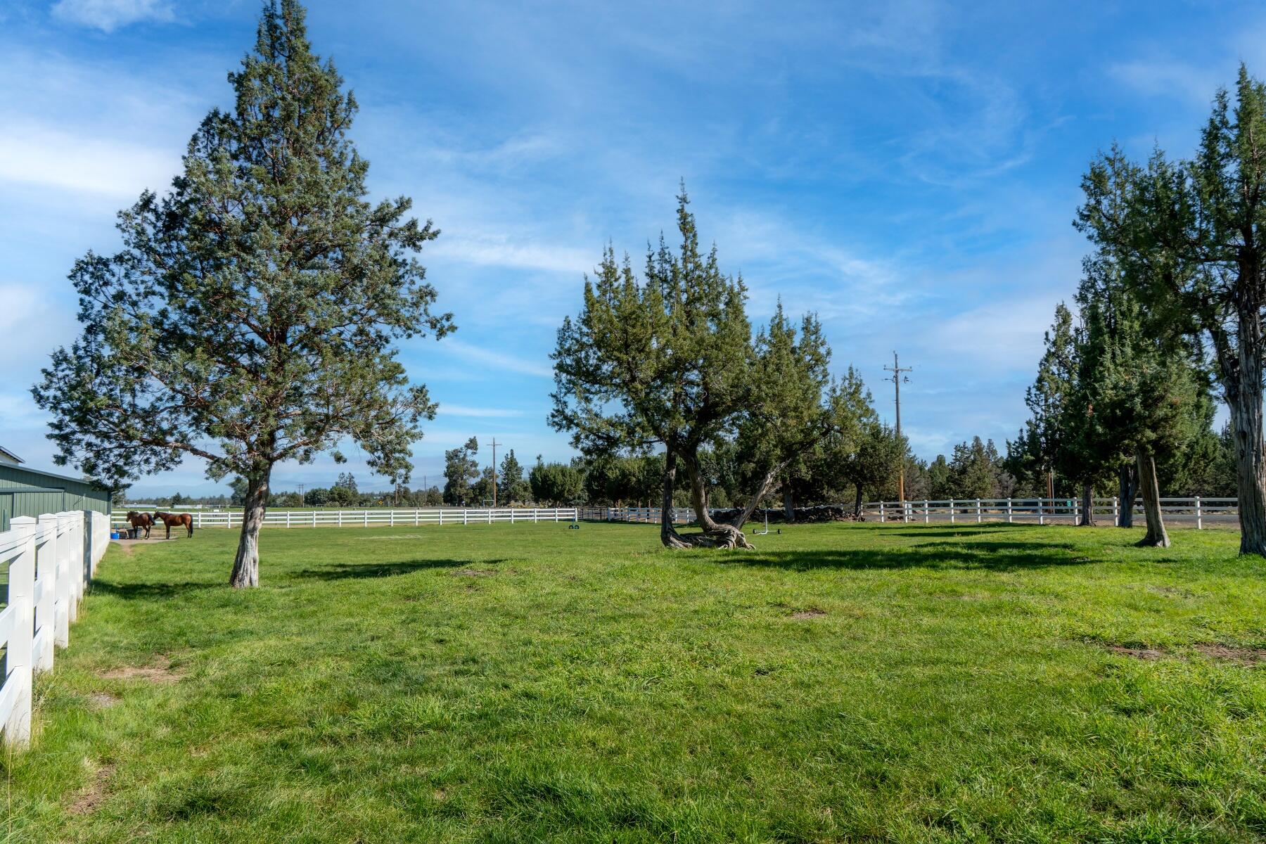 61416 Cougar Trail