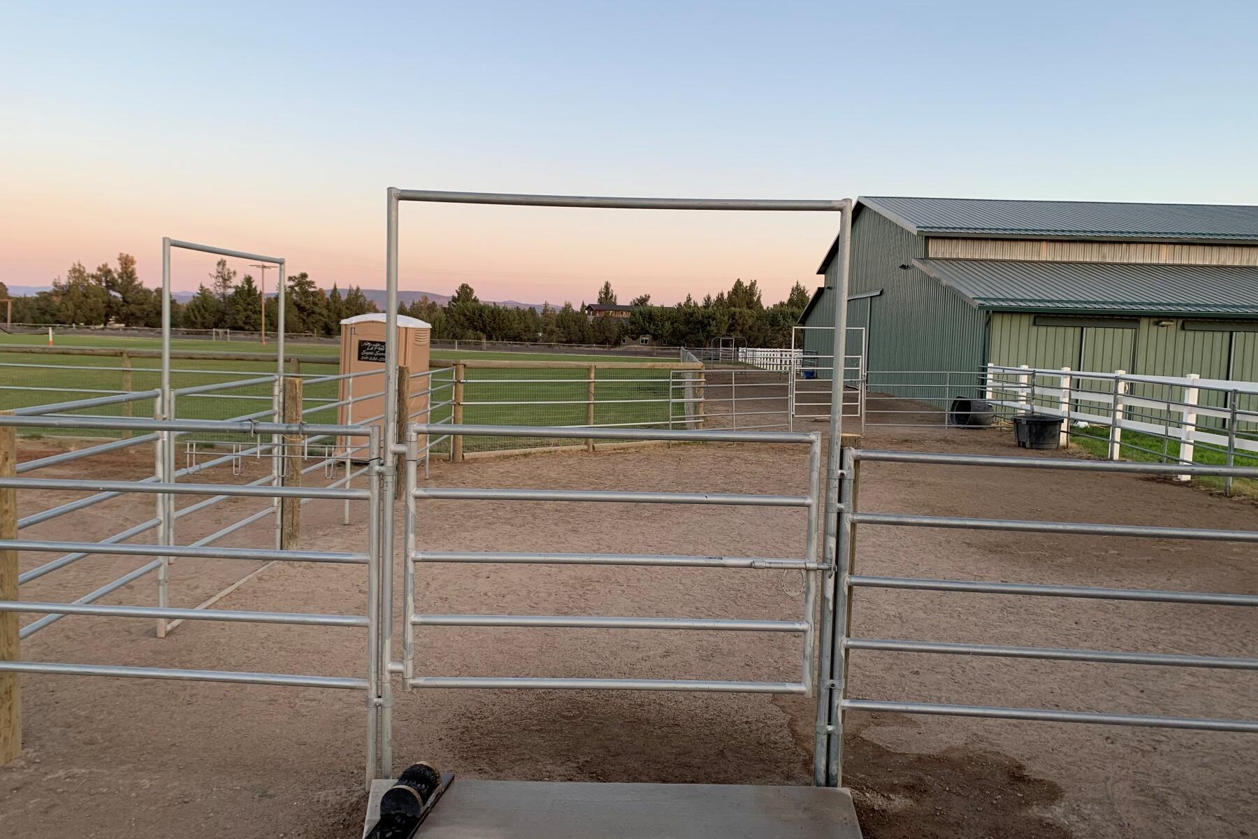 61416 Cougar Trail
