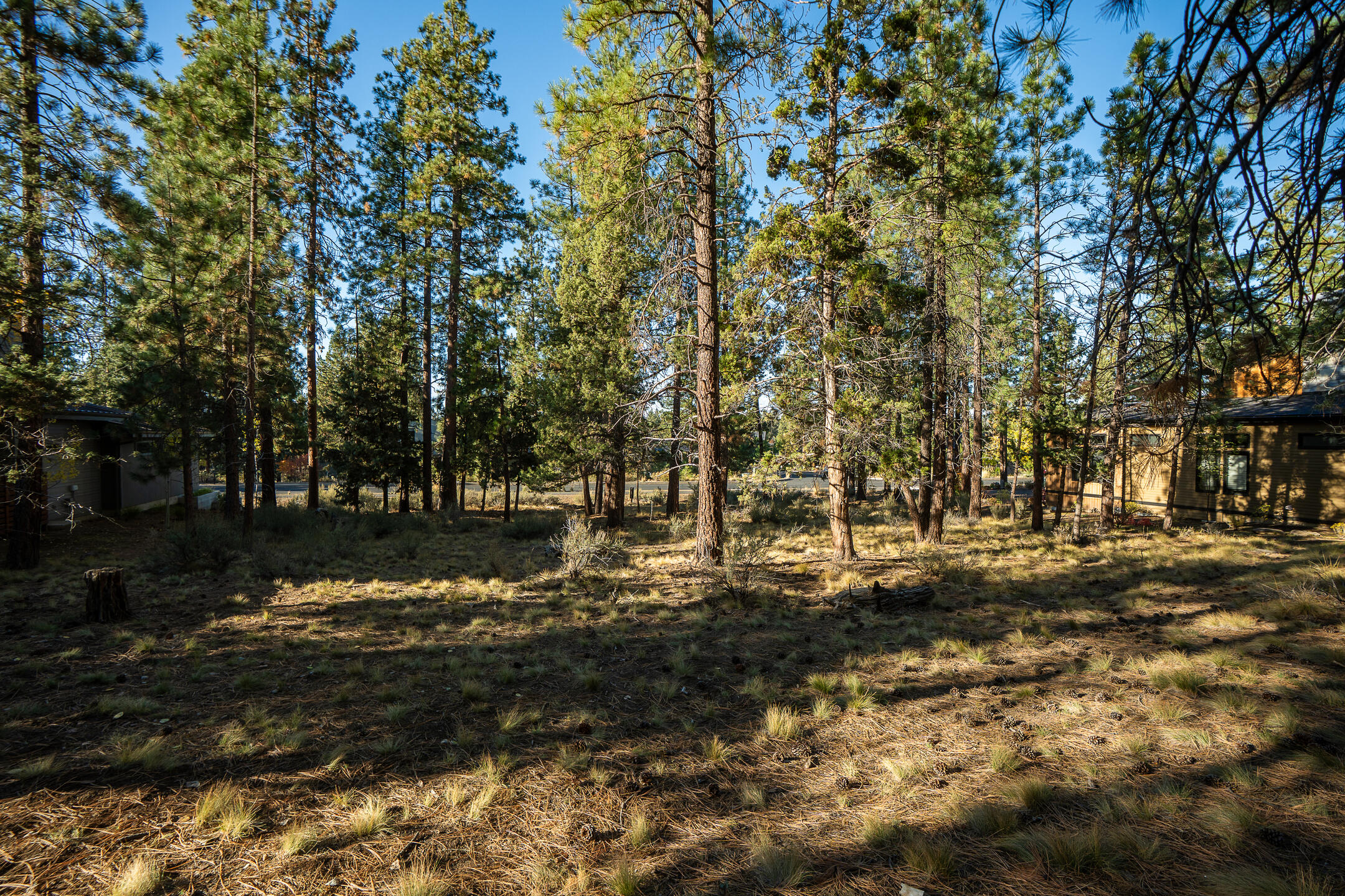 61464 Meeks Trail, Bend