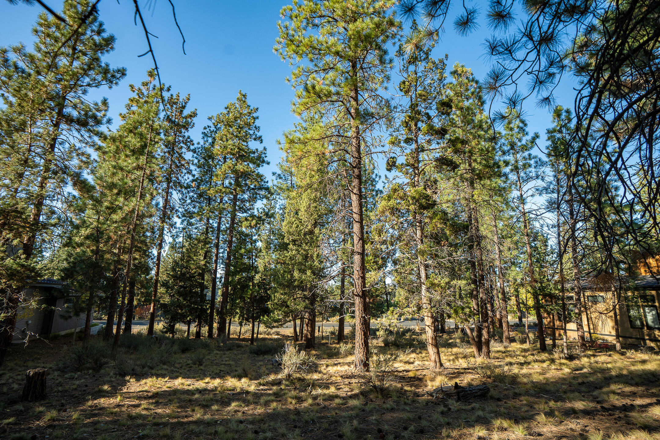 61464 Meeks Trail, Bend