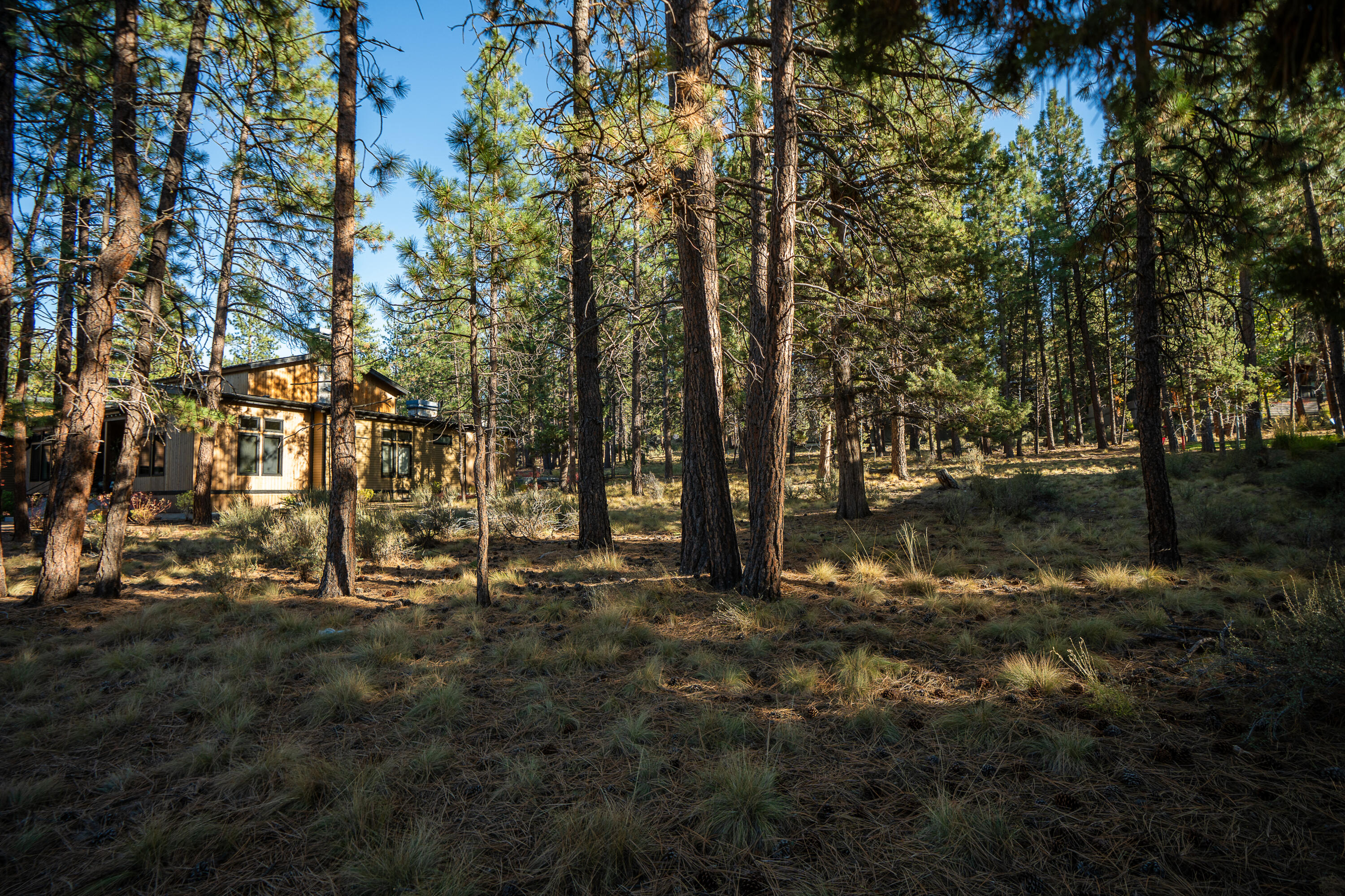 61464 Meeks Trail, Bend