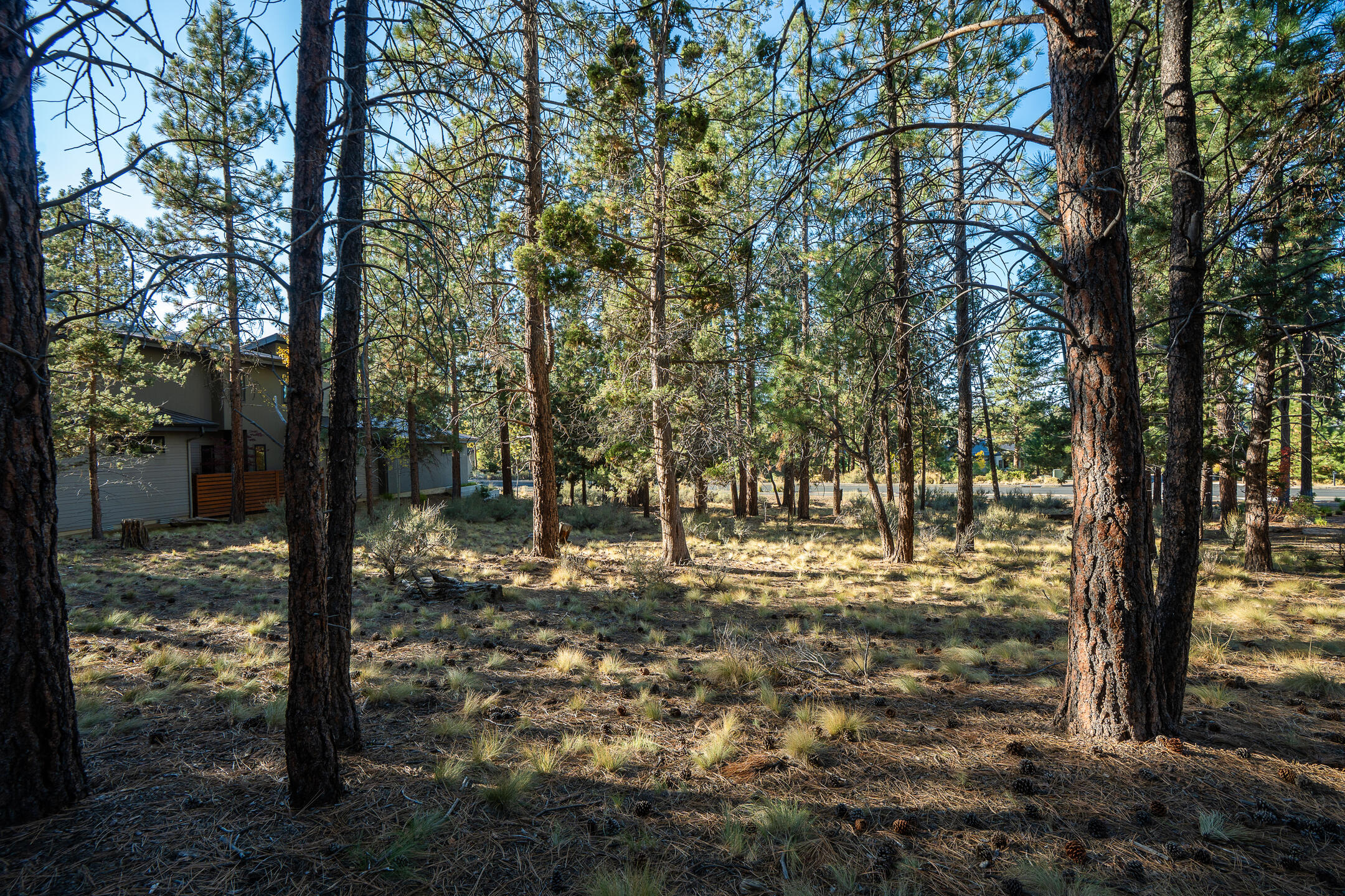 61464 Meeks Trail, Bend