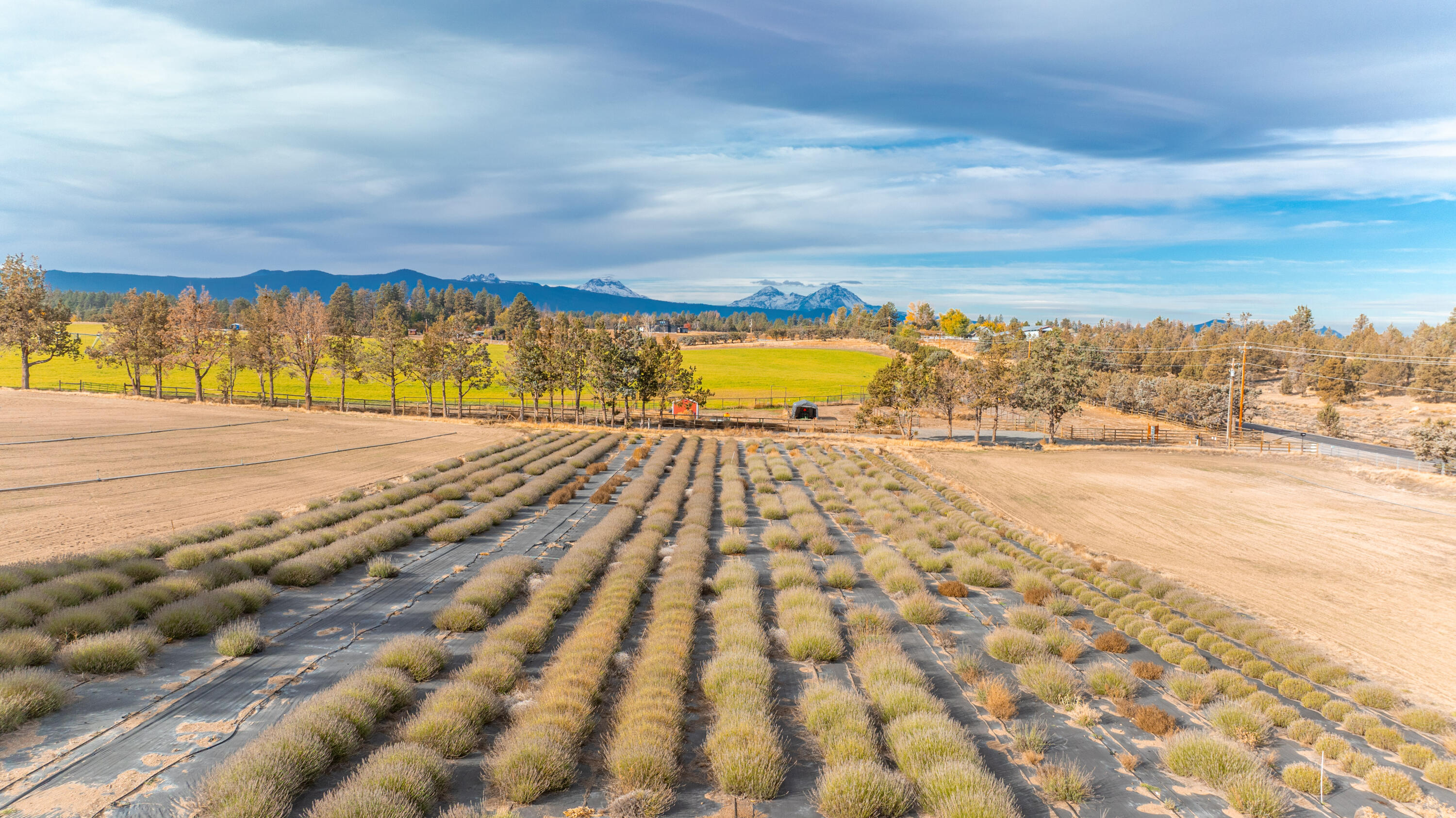 19045 Tumalo Reservoir Road