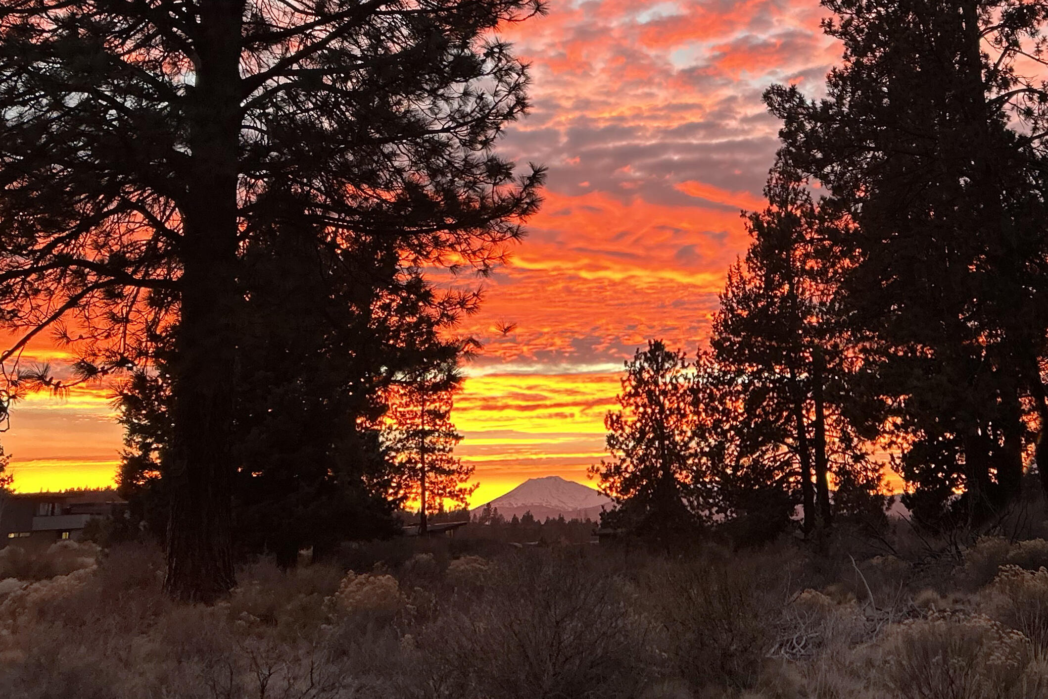 61547 Hosmer Lake Drive