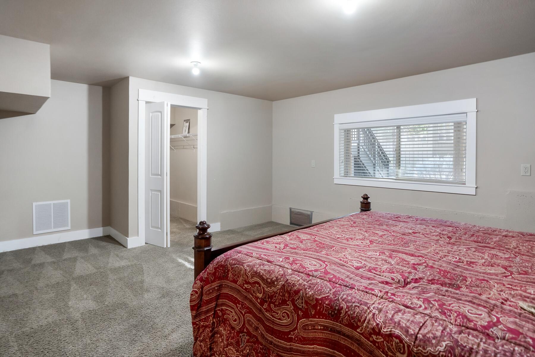 19672 Winter Wren Loop