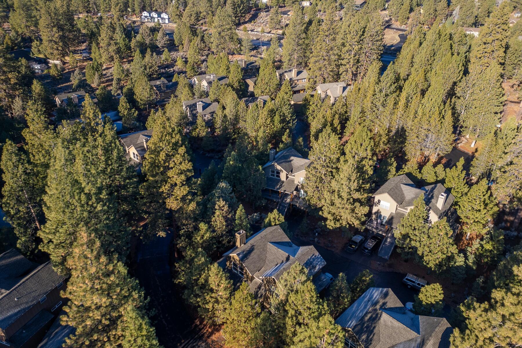 19672 Winter Wren Loop