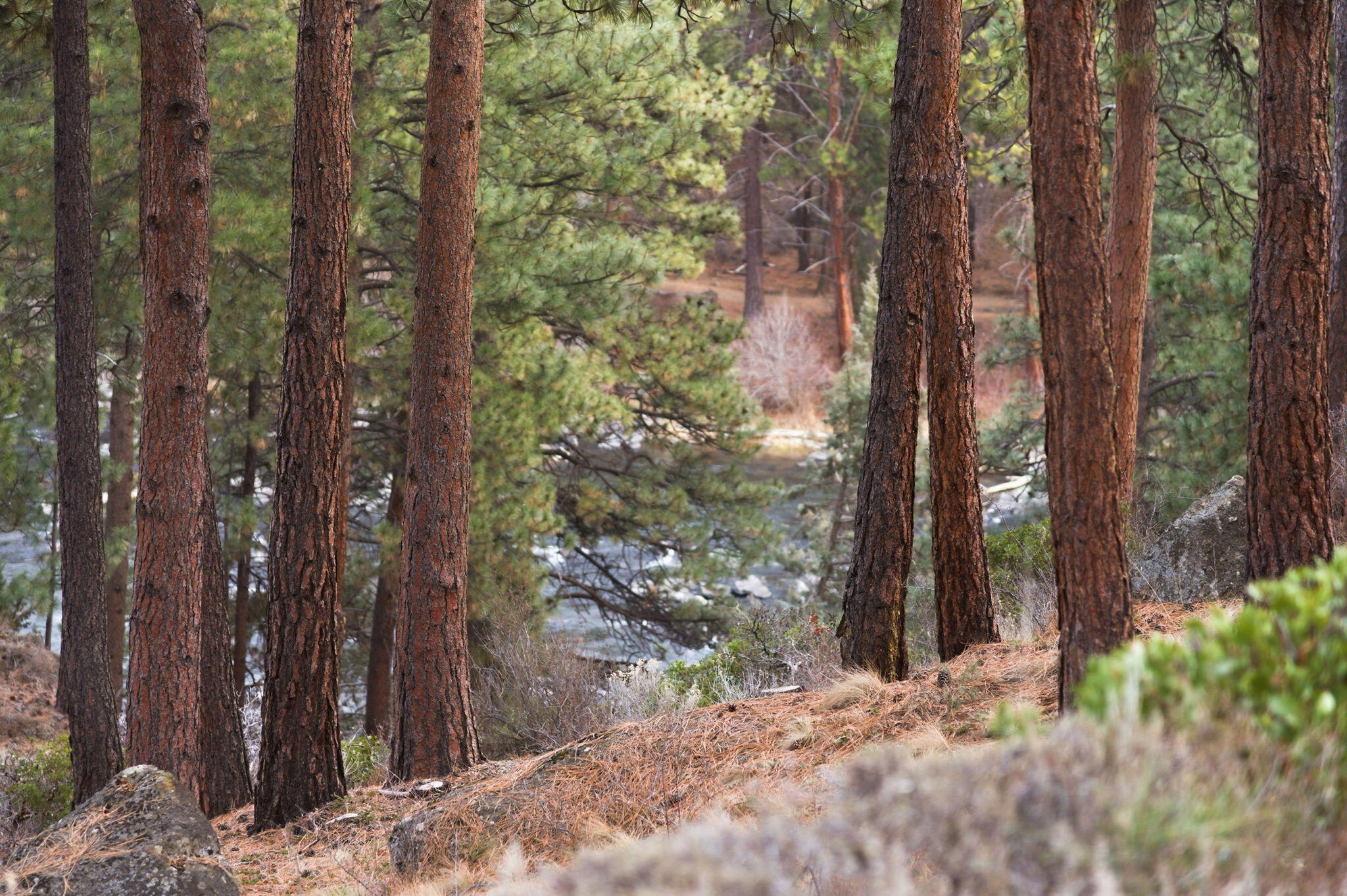 61299 Big Eddy Circle