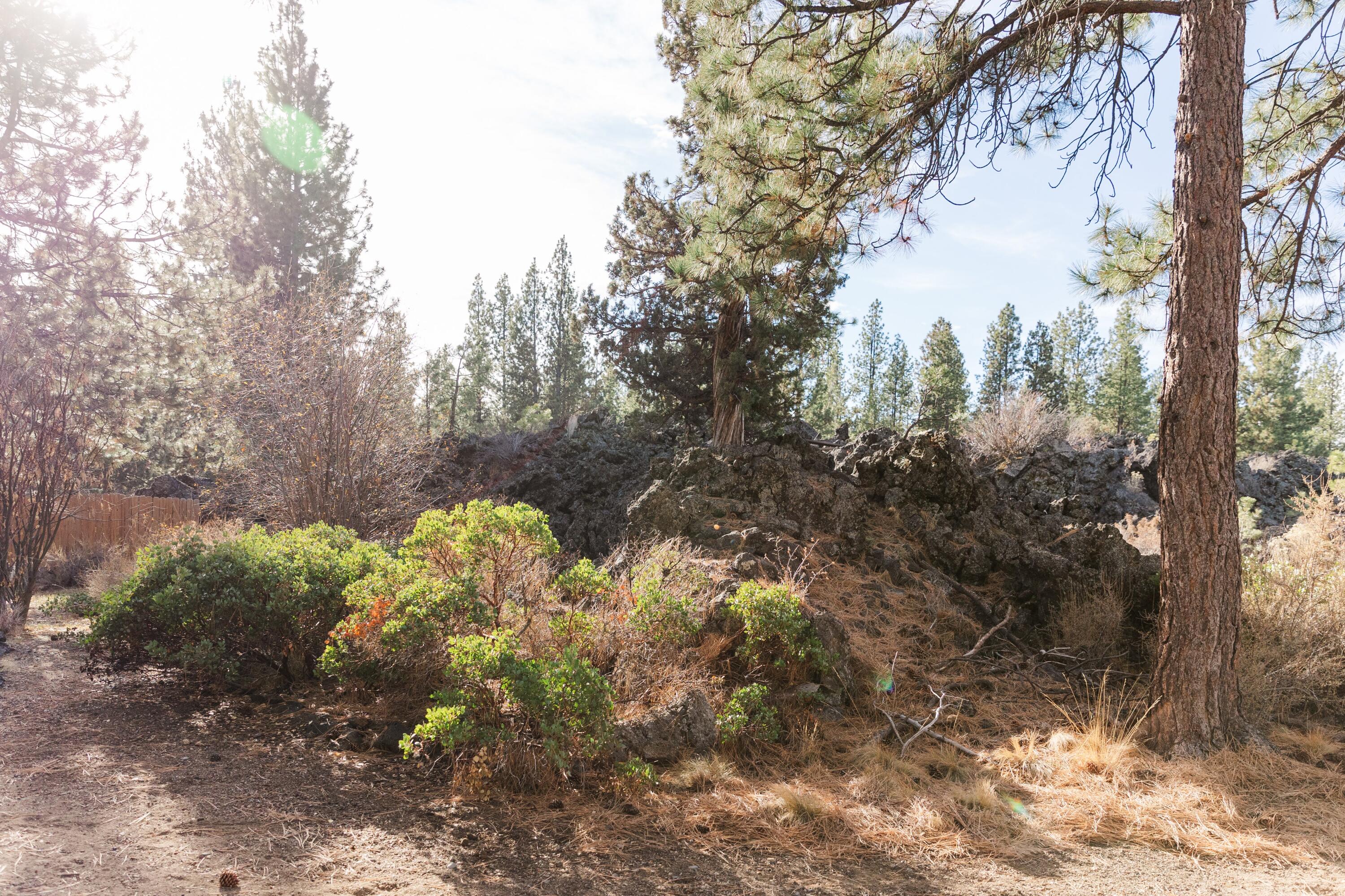 60105 Opal Lane