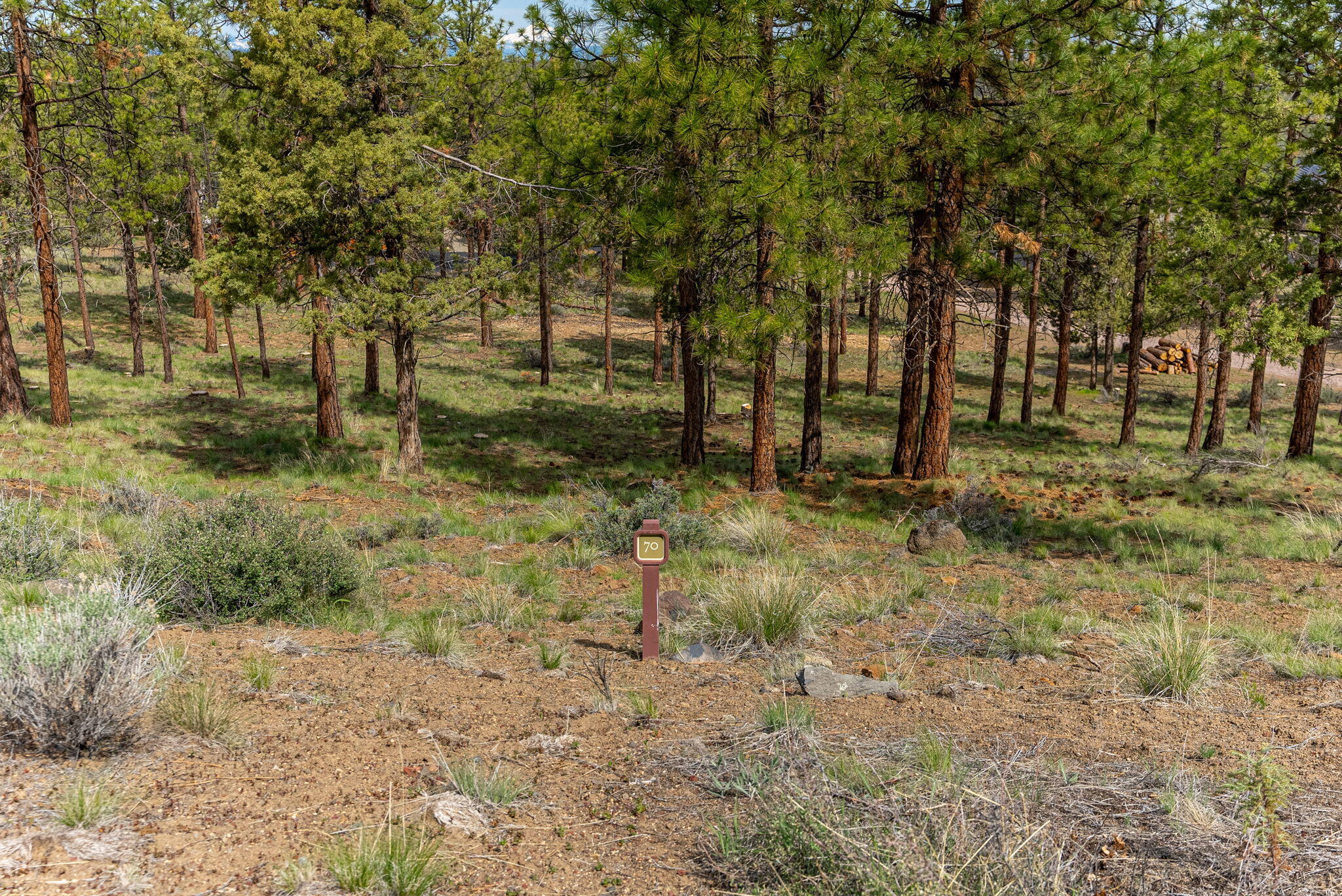 3399 NW Greenleaf Way