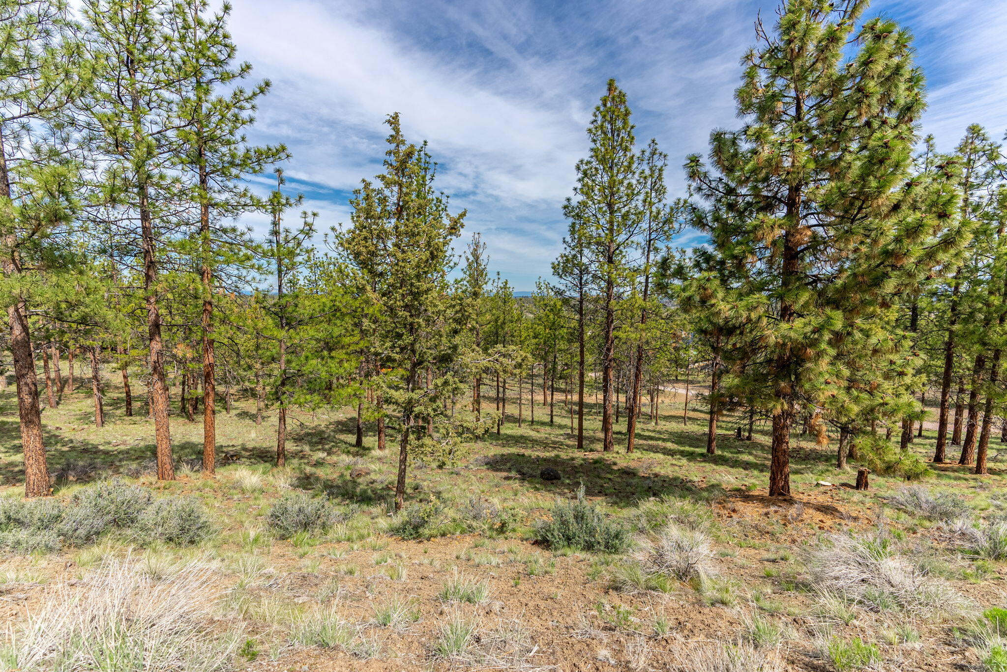 3399 NW Greenleaf Way