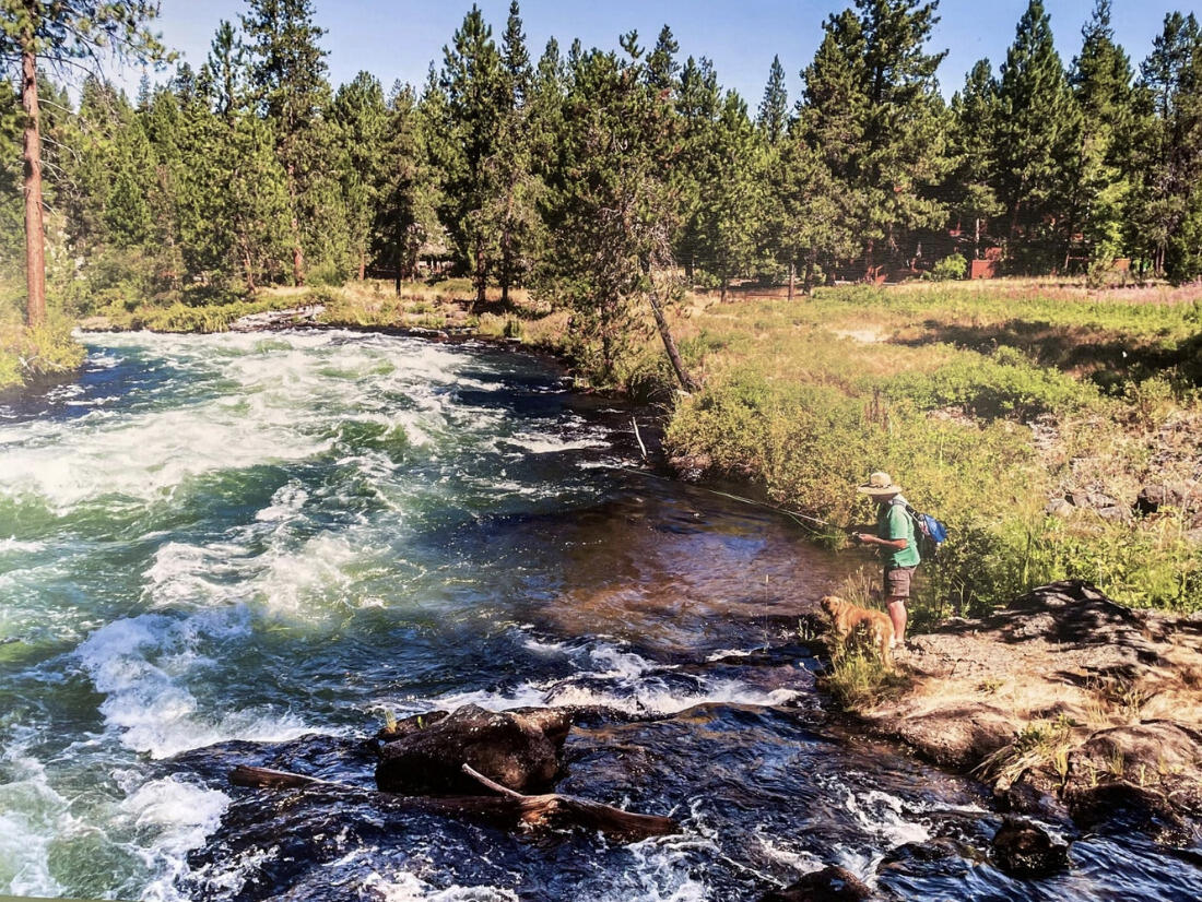 14232 Clearwater Lane