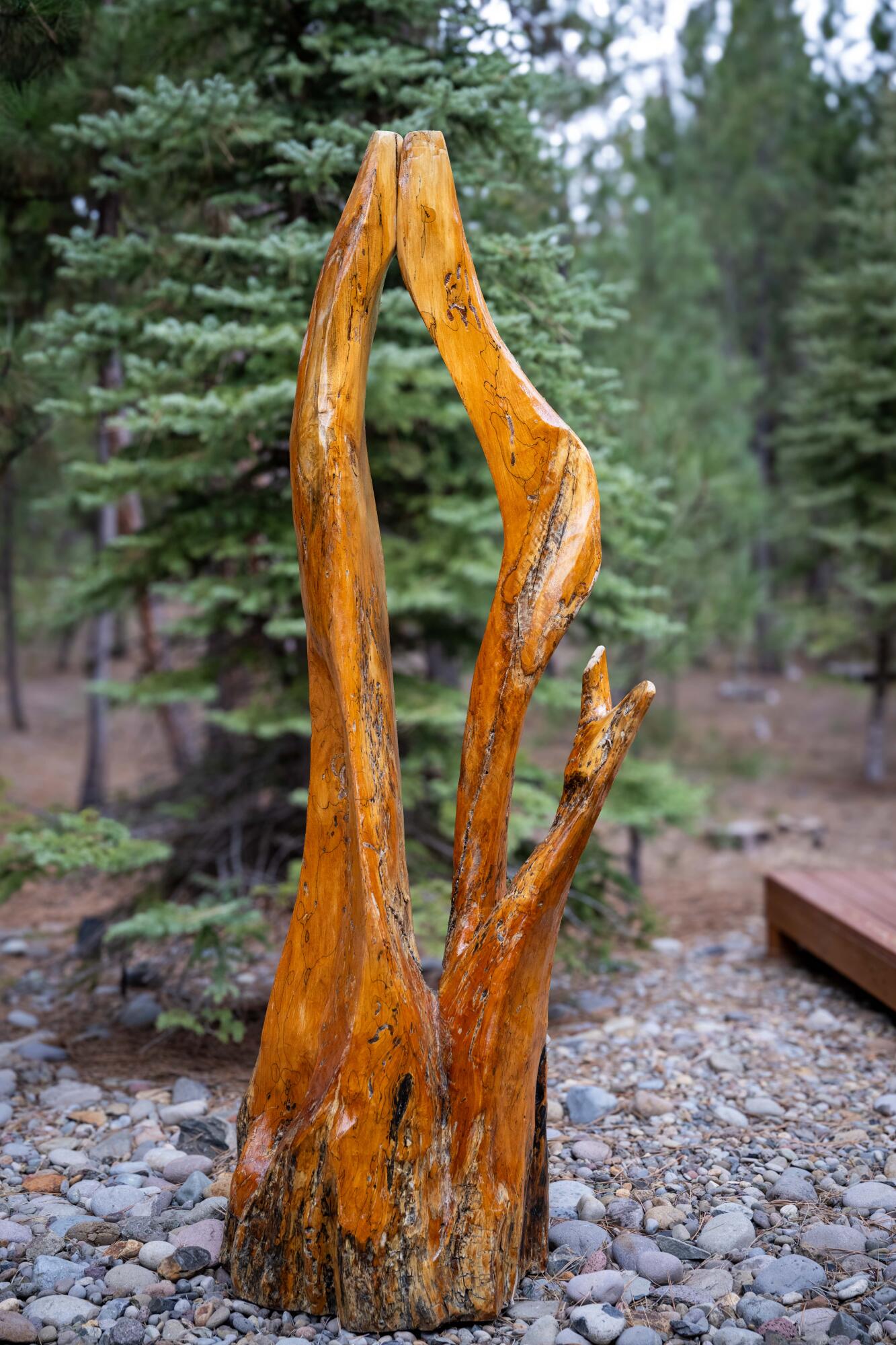 14232 Clearwater Lane