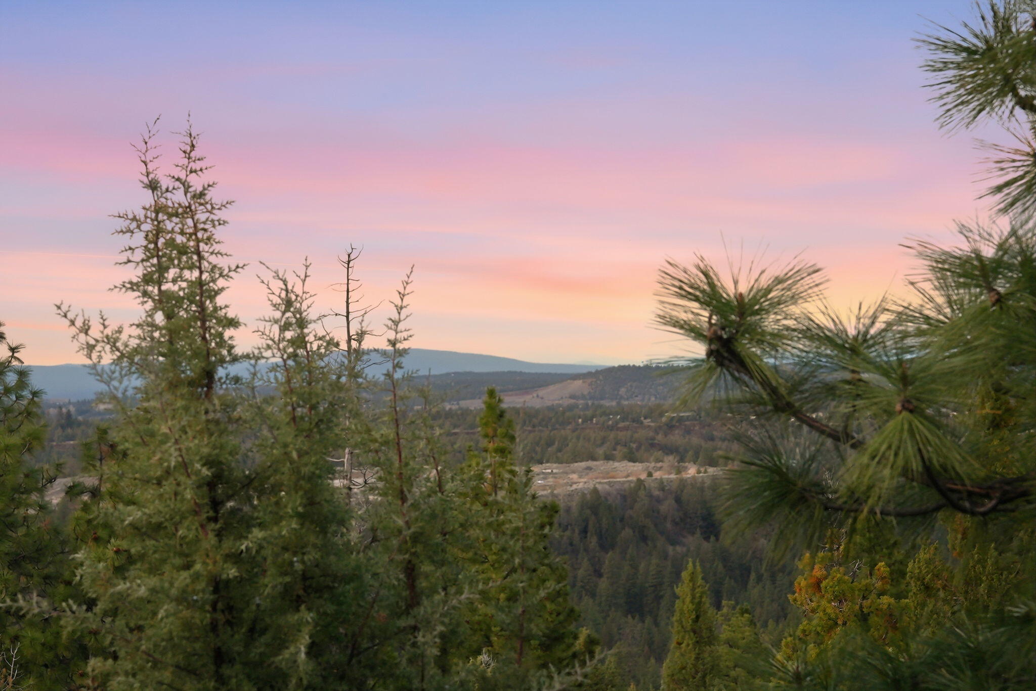 3487 NW Greenleaf Way