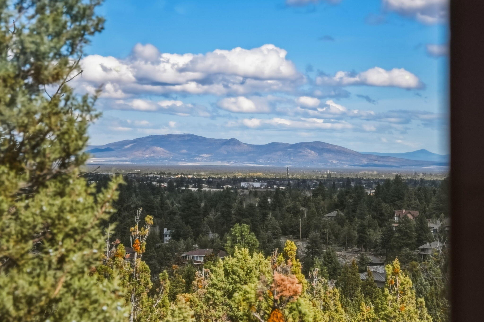 1496 NW Puccoon Court