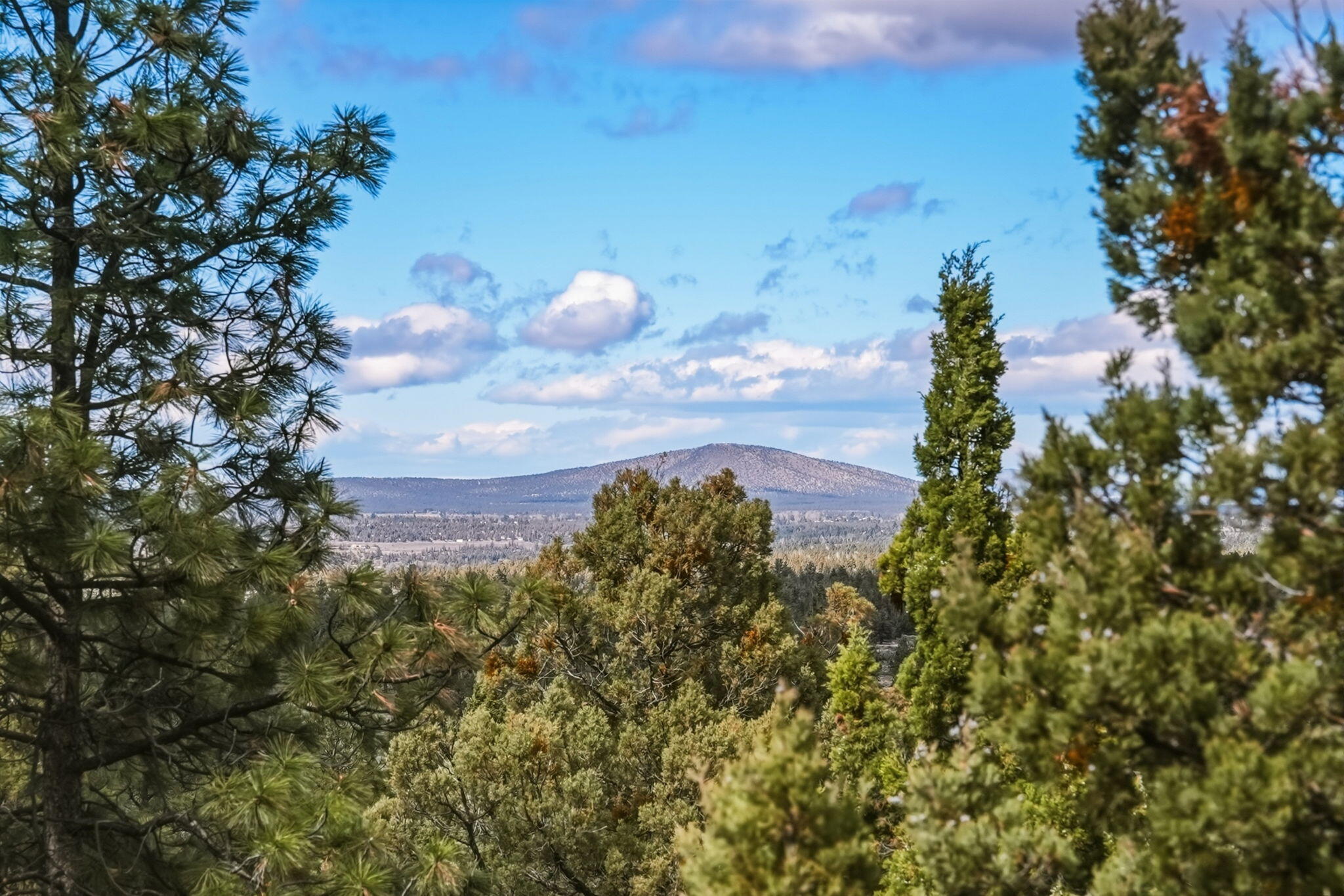 1496 NW Puccoon Court