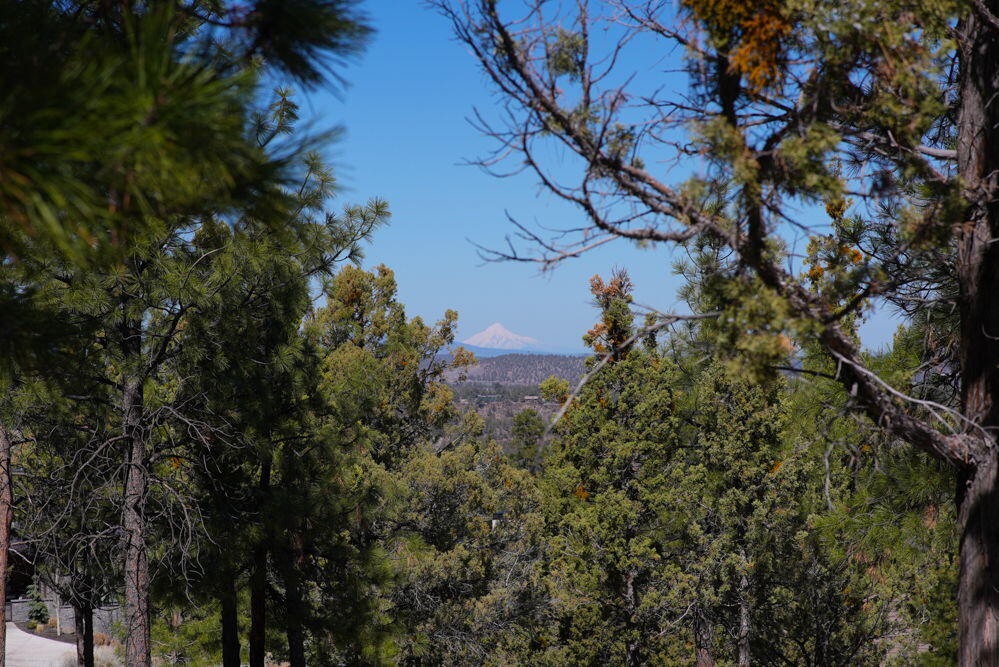 1496 NW Puccoon Court