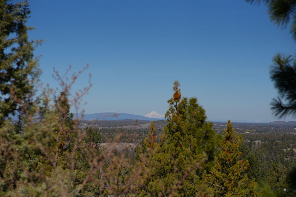 1496 NW Puccoon Court