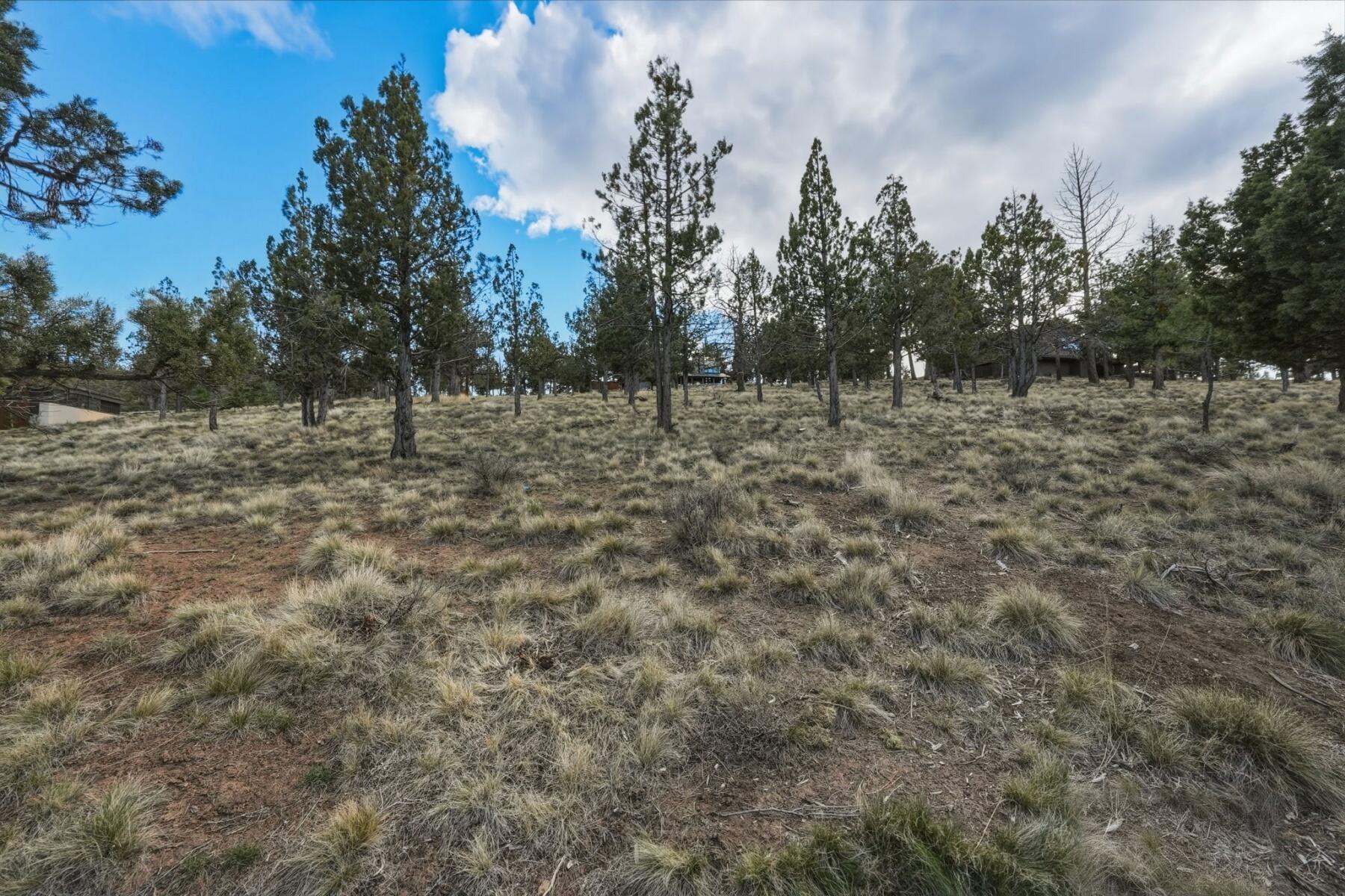 1560 NW Wild Rye Circle