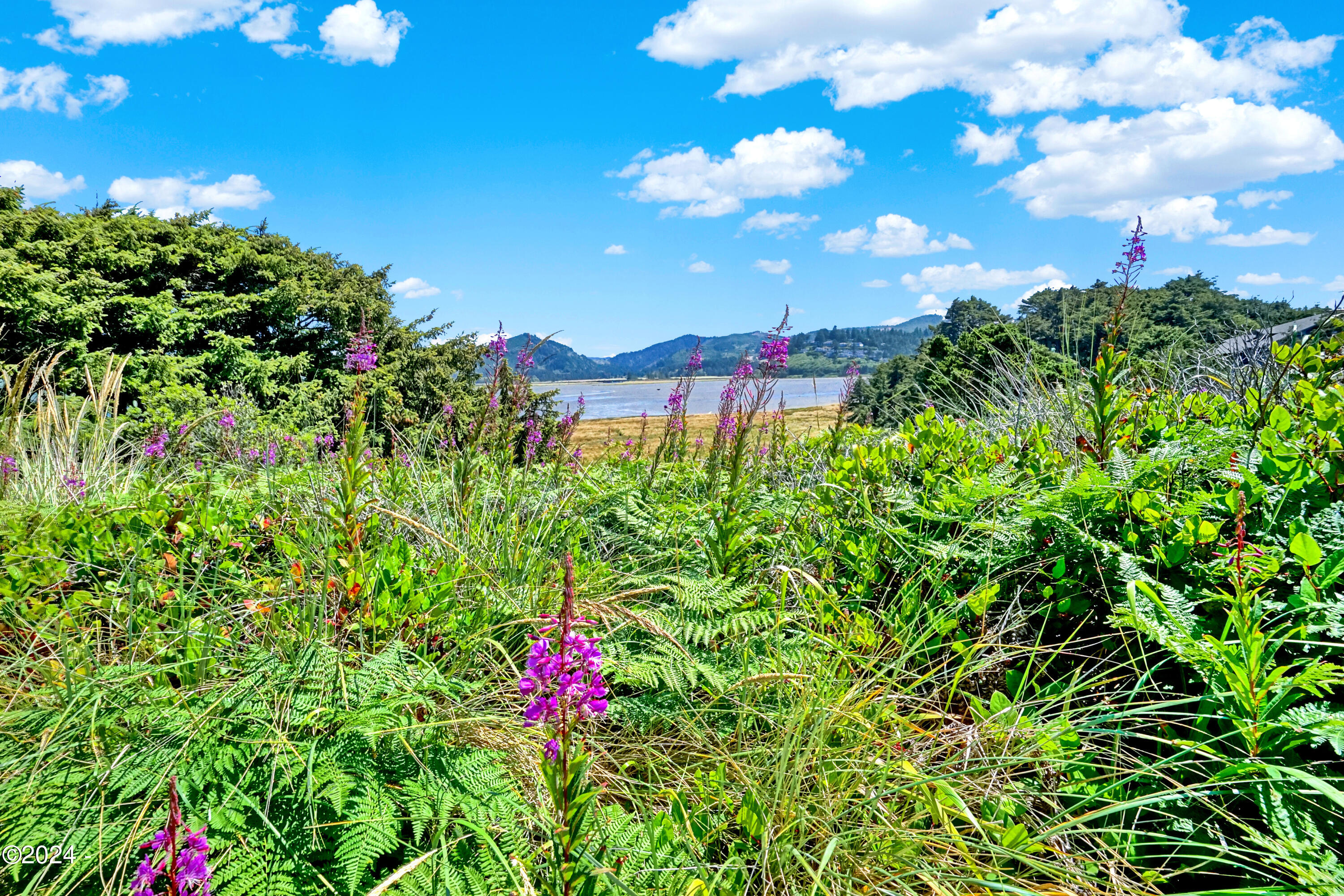 28 Spouting Whale Lane