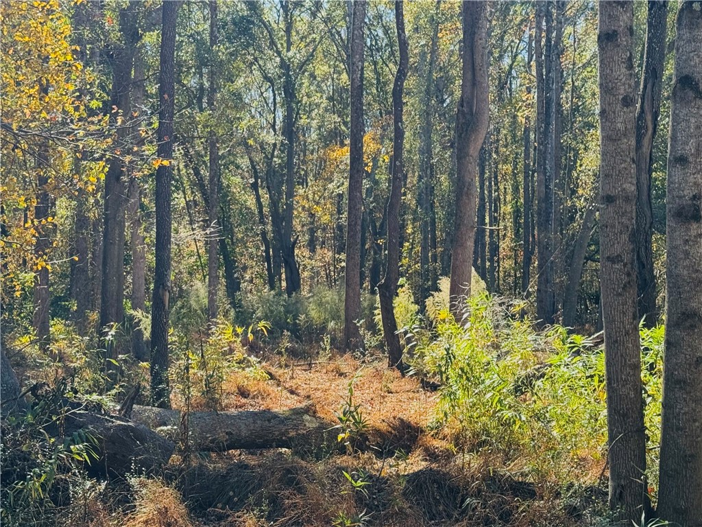 231 Greenmeadow Circle