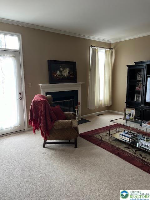 40 Hillside Court South