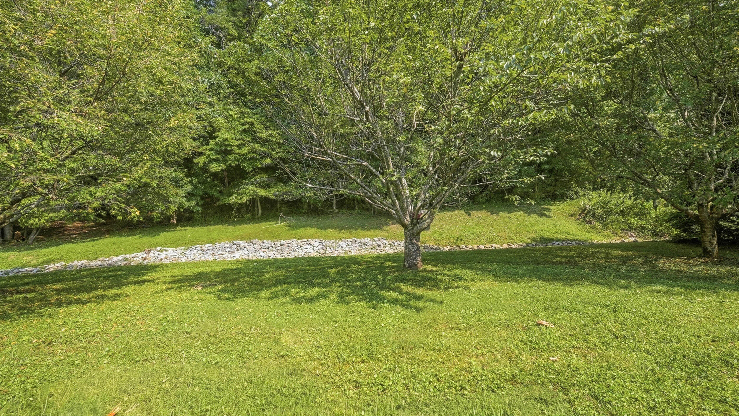 12200 Tobacco Road
