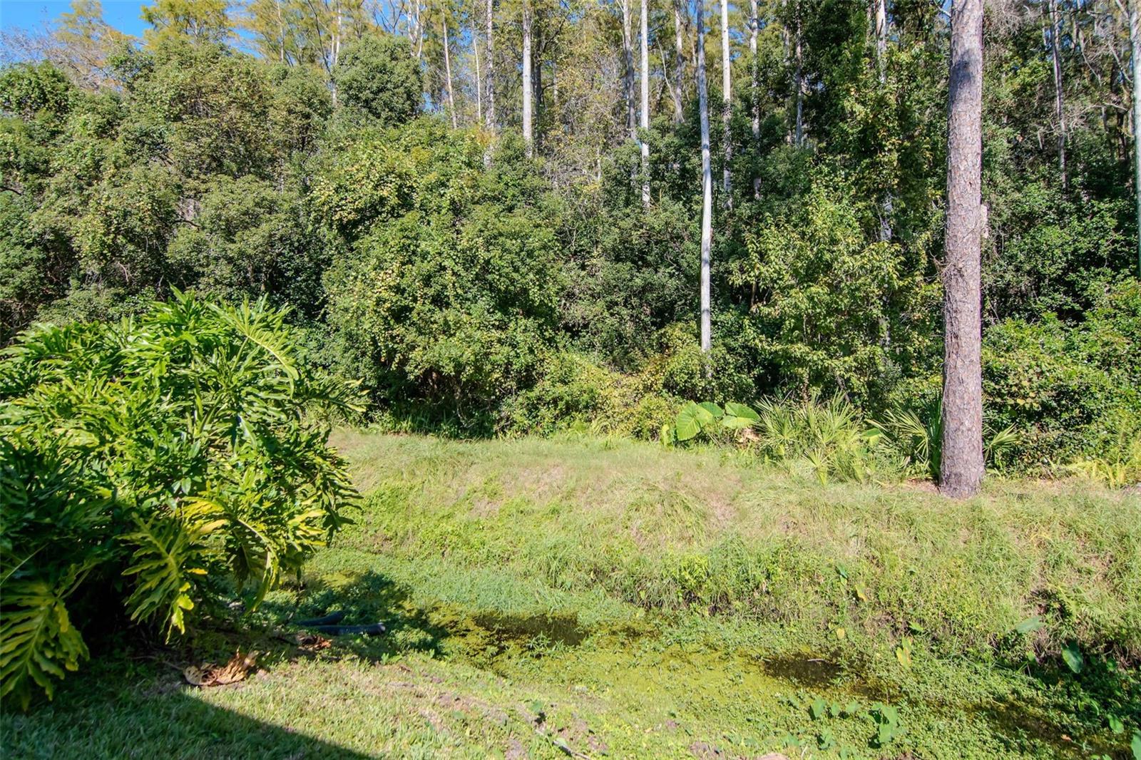 4127 BRENTWOOD PARK CIR