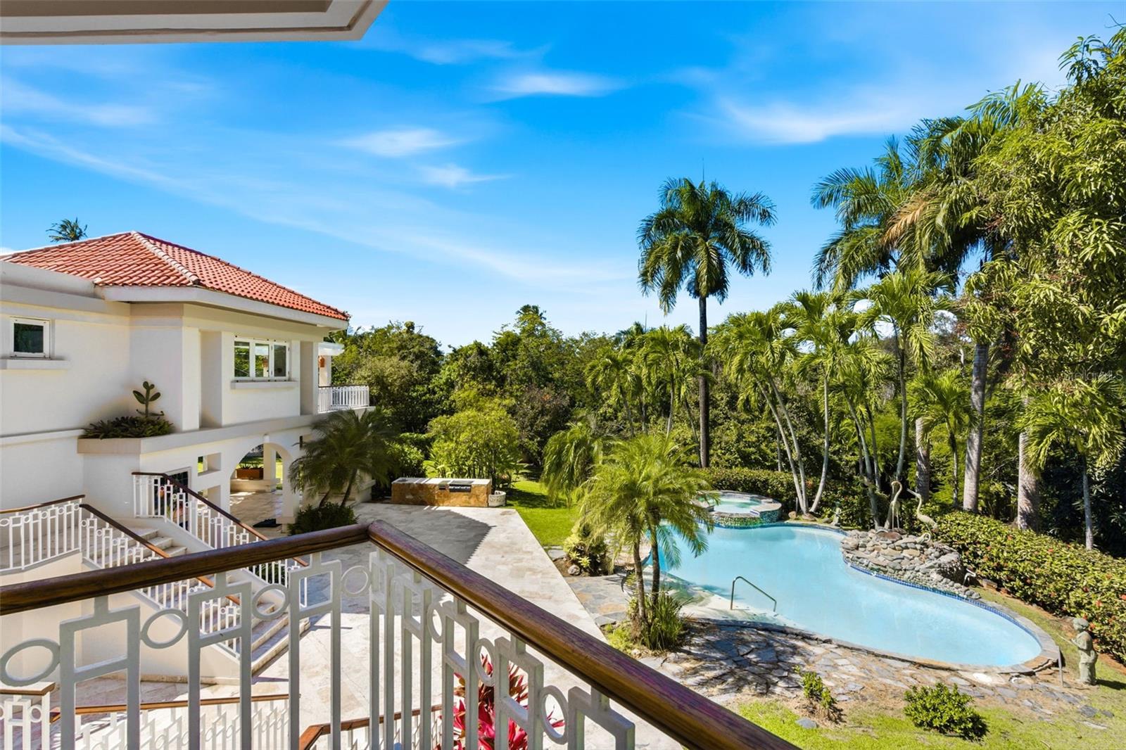 White home and curving pool surrounded by tropical palms, seen from an elevated balcony.