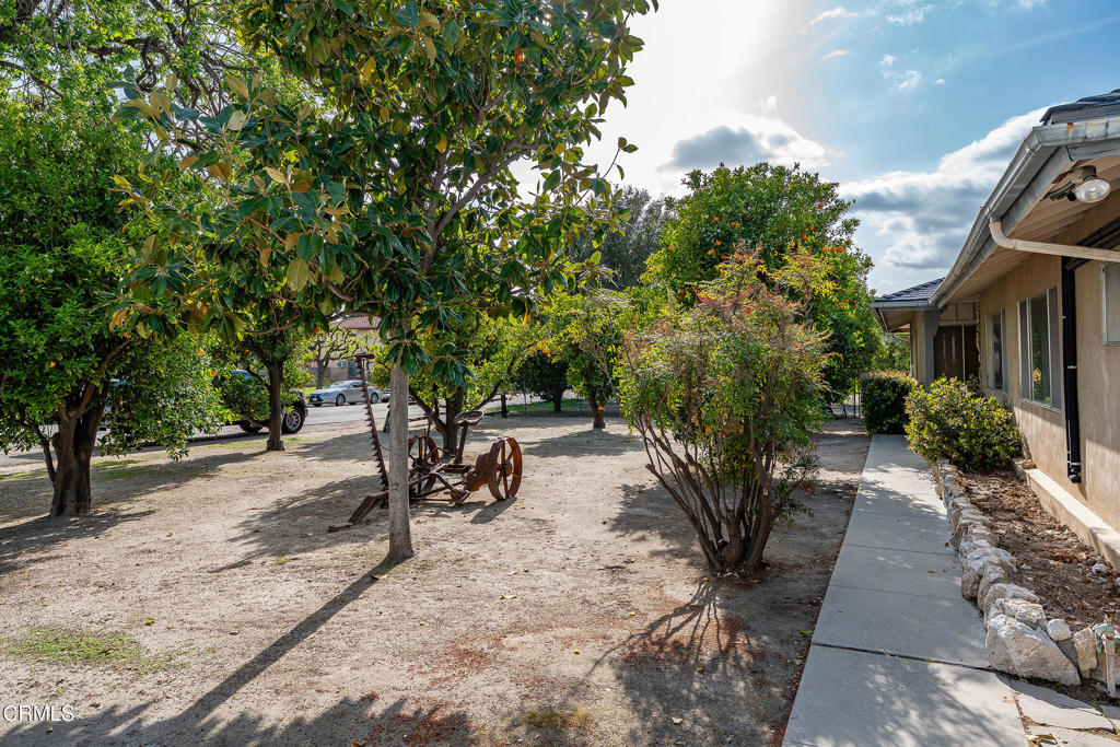 3941 Walnut Avenue