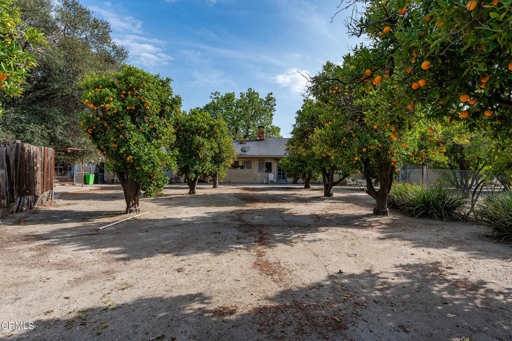 3941 Walnut Avenue