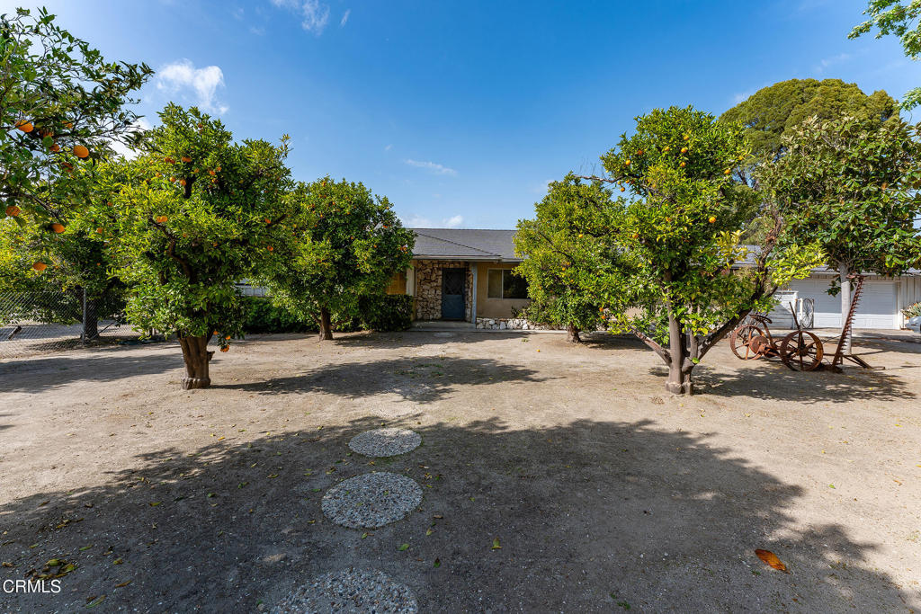 3941 Walnut Avenue