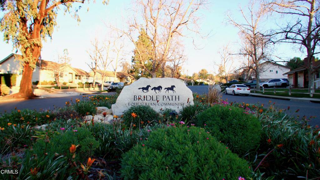 1894 Rambling Road