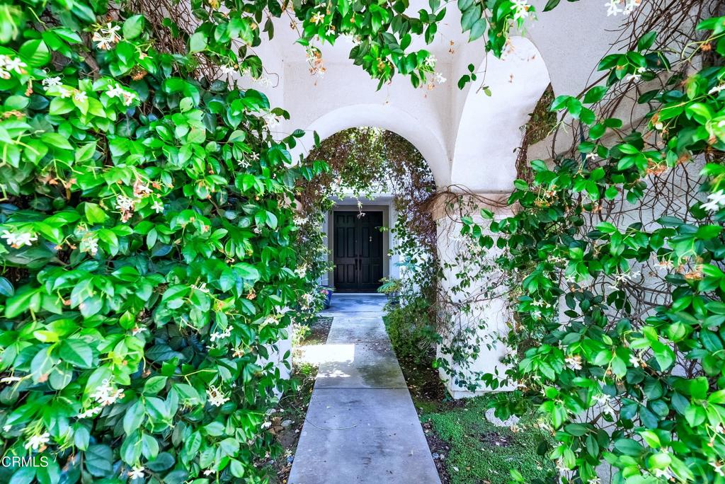 4414 Paseo Santa Rosa
