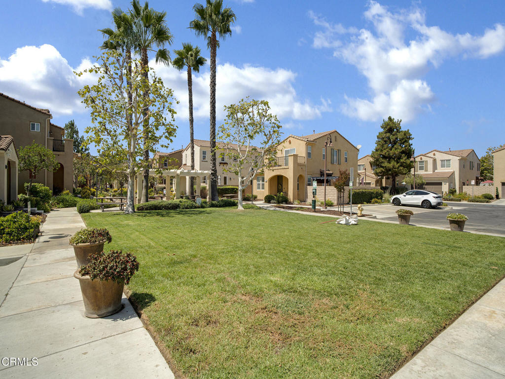 2949 Palmera Lane