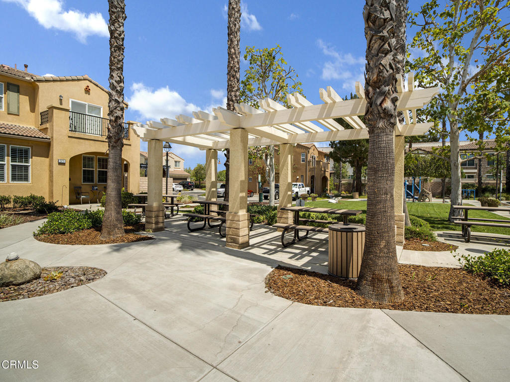 2949 Palmera Lane