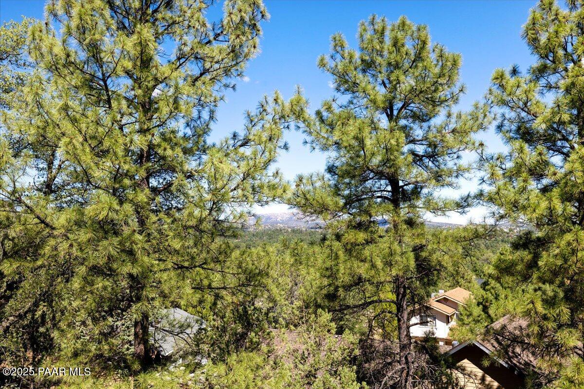 1120 Tanglewood Road