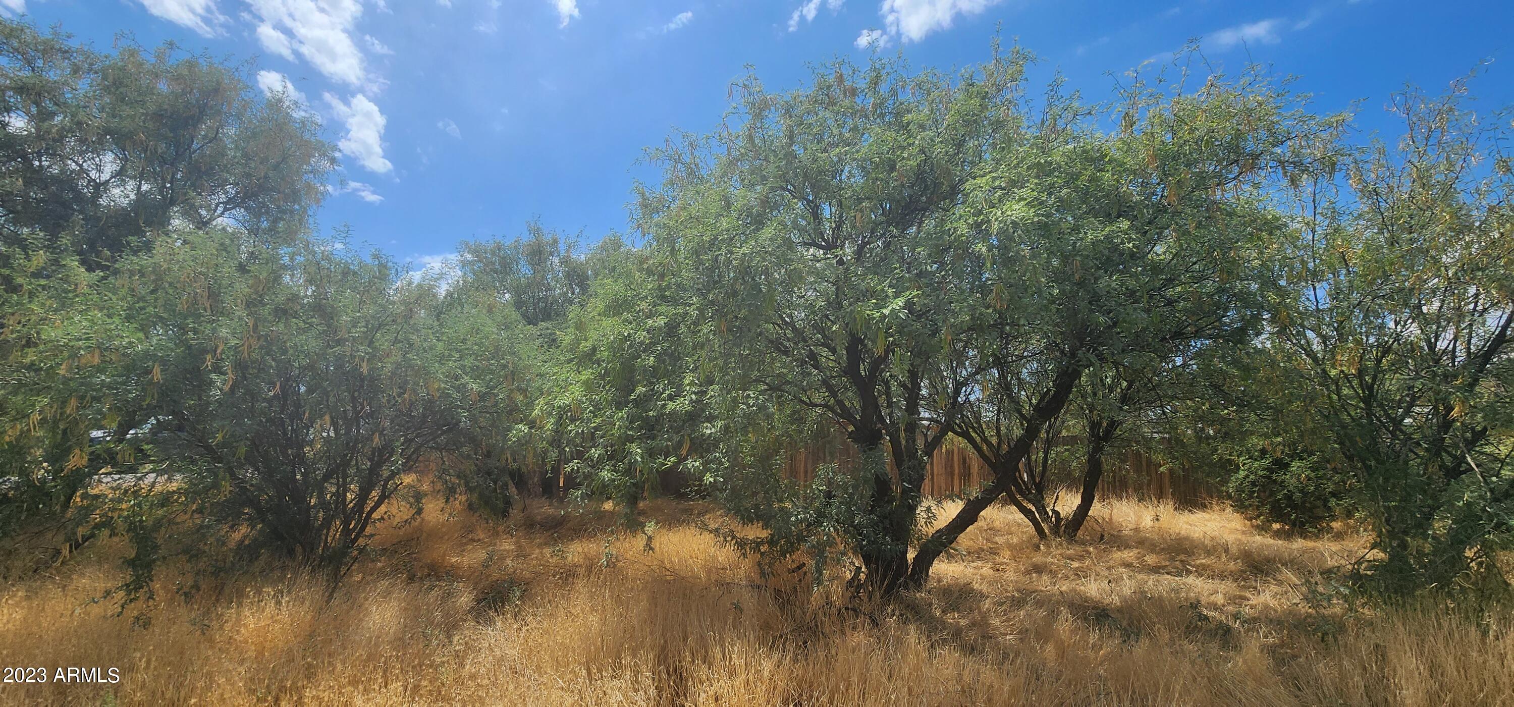 20960 E BUTTERFIELD Road, 1367