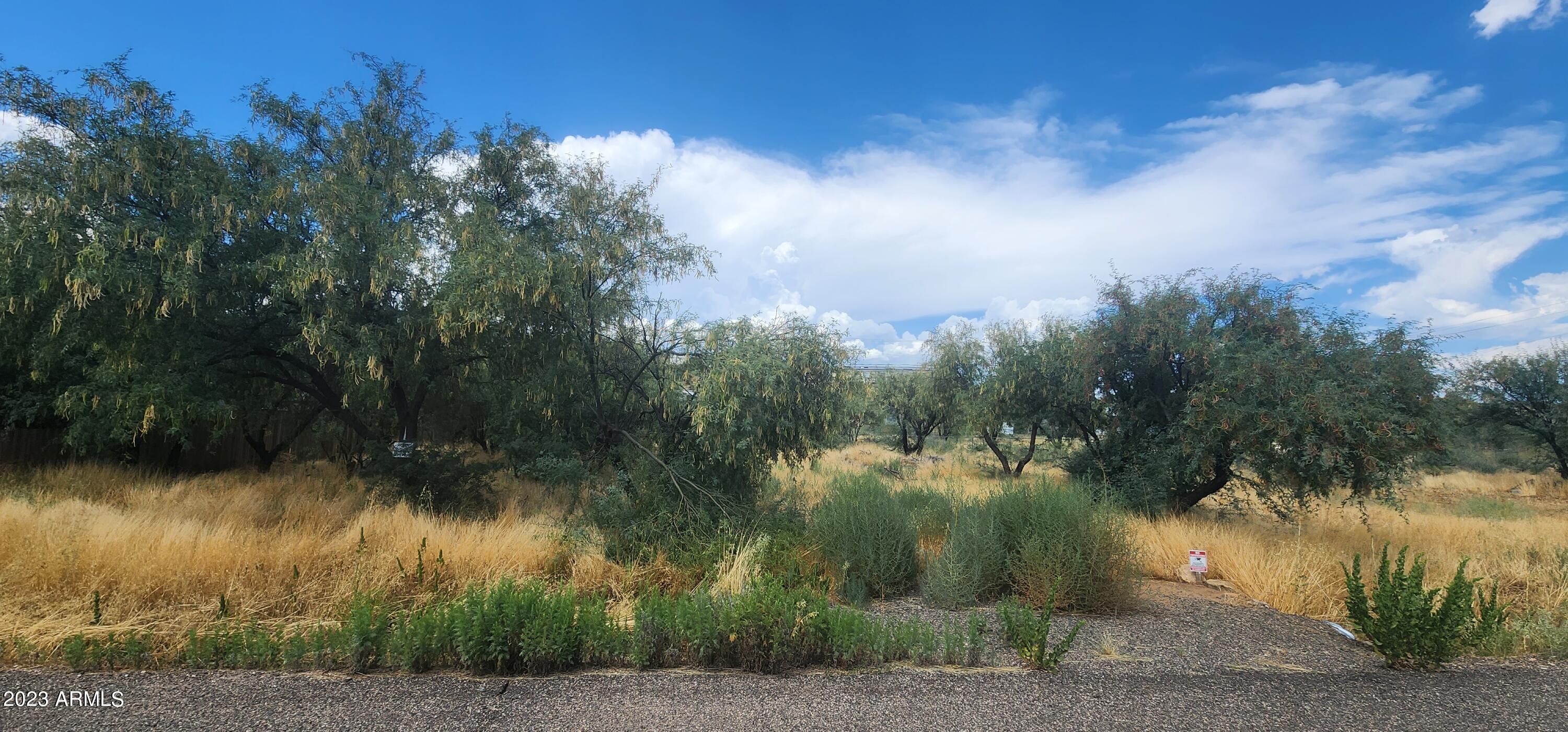 20960 E BUTTERFIELD Road, 1367