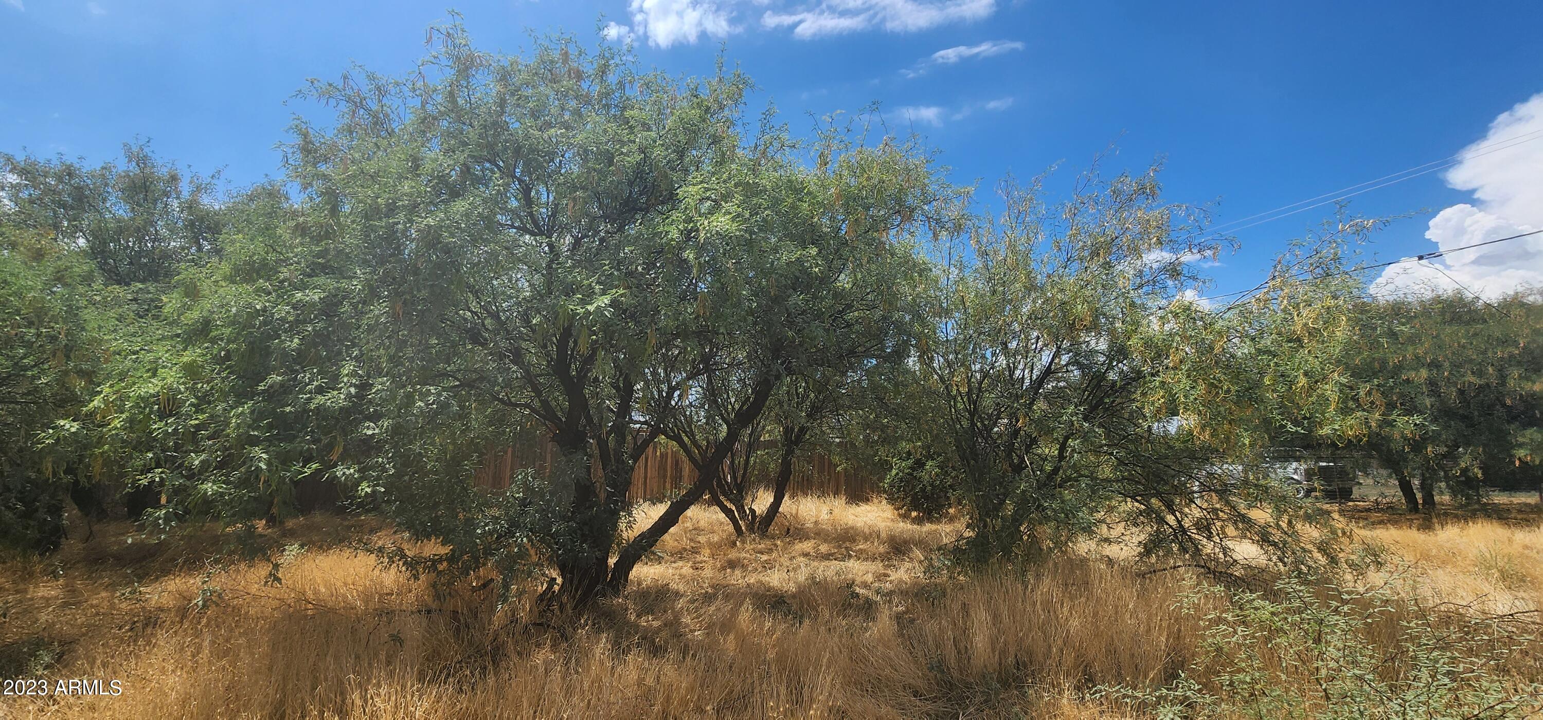 20960 E BUTTERFIELD Road, 1367