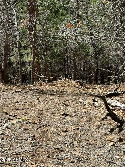 5145 S CARDINAL CREST Lane, 1536