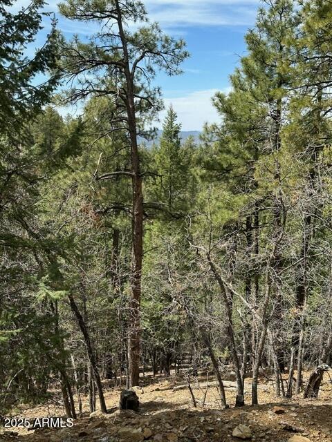 5145 S CARDINAL CREST Lane, 1536