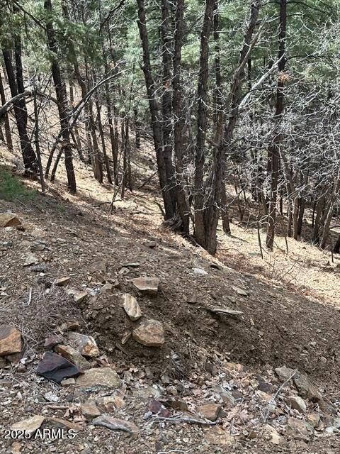 5145 S CARDINAL CREST Lane, 1536