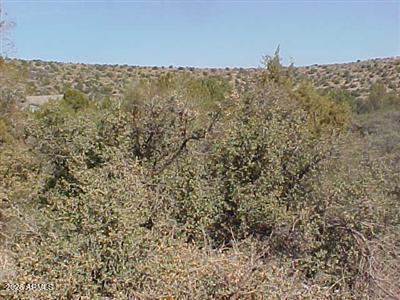 2350 W QUAIL SPRINGS RANCH Road -