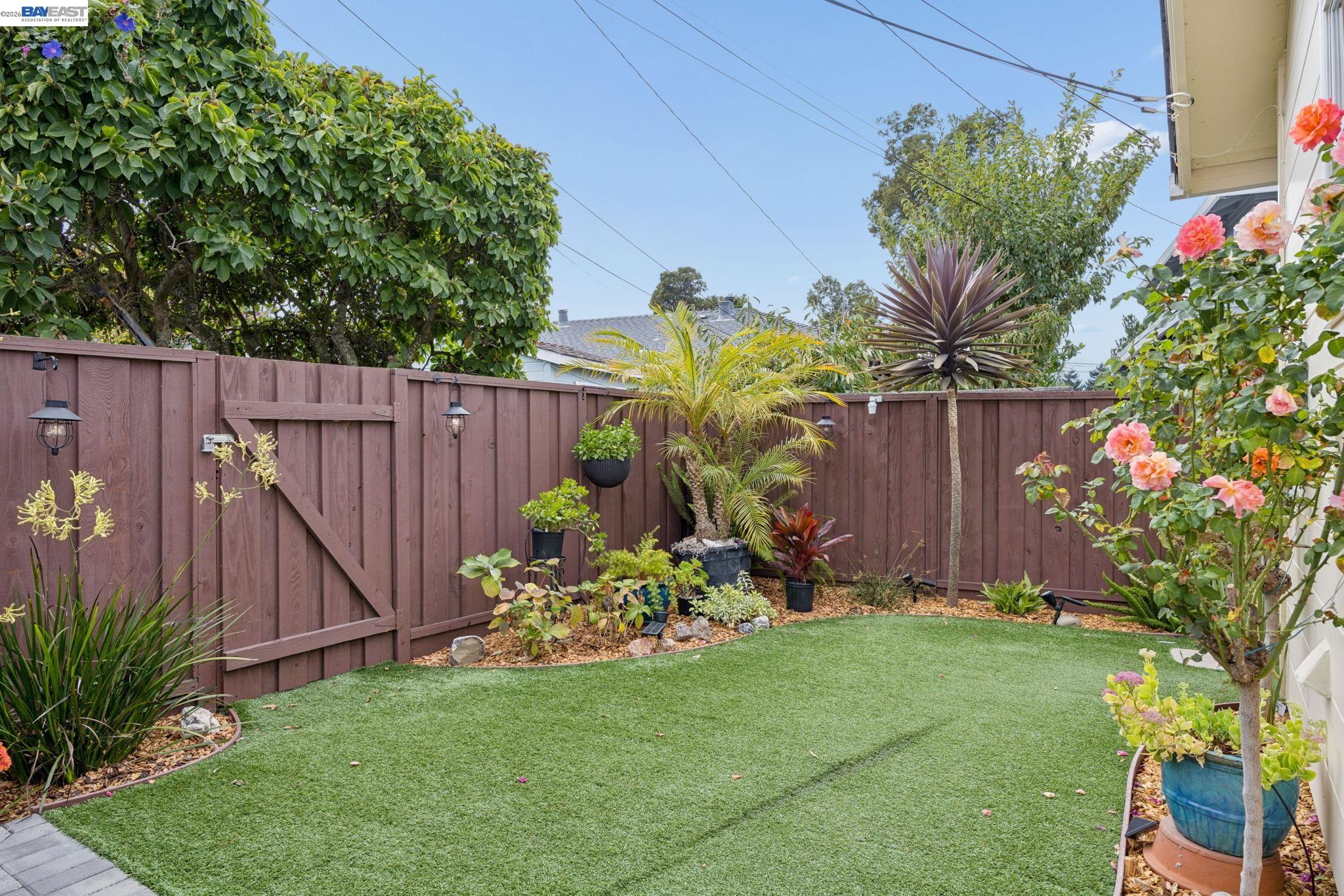 Backyard with a green lawn, tropical plants, flowering roses, and a tall brown privacy fence.
